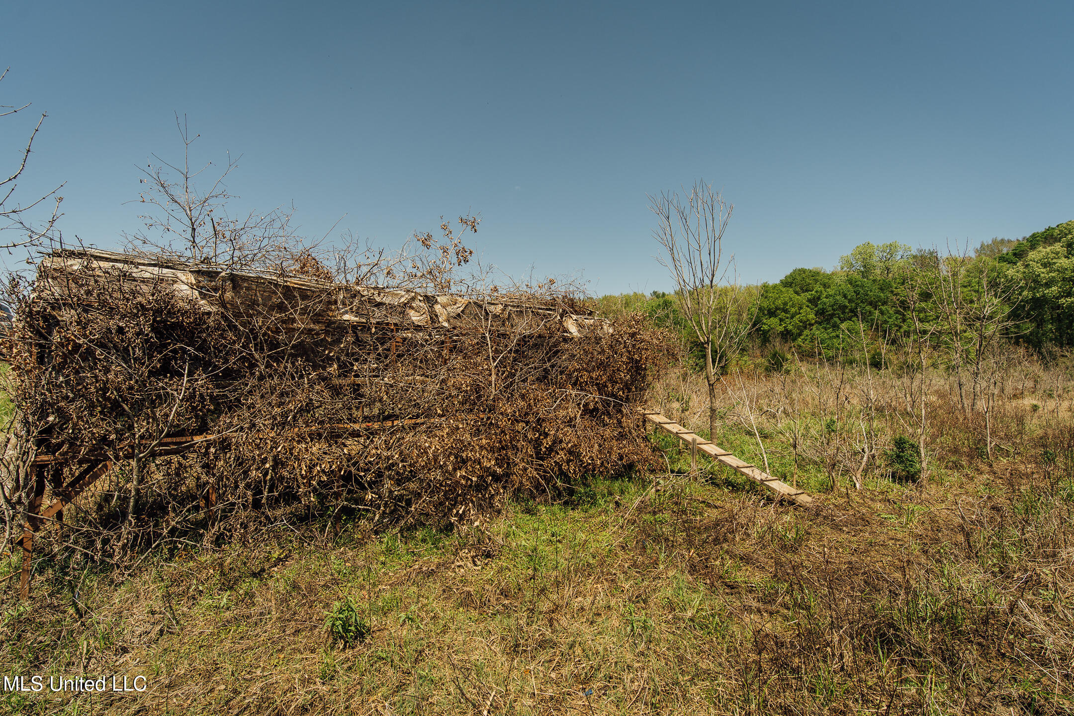 County Rd 176 Property Photo 32