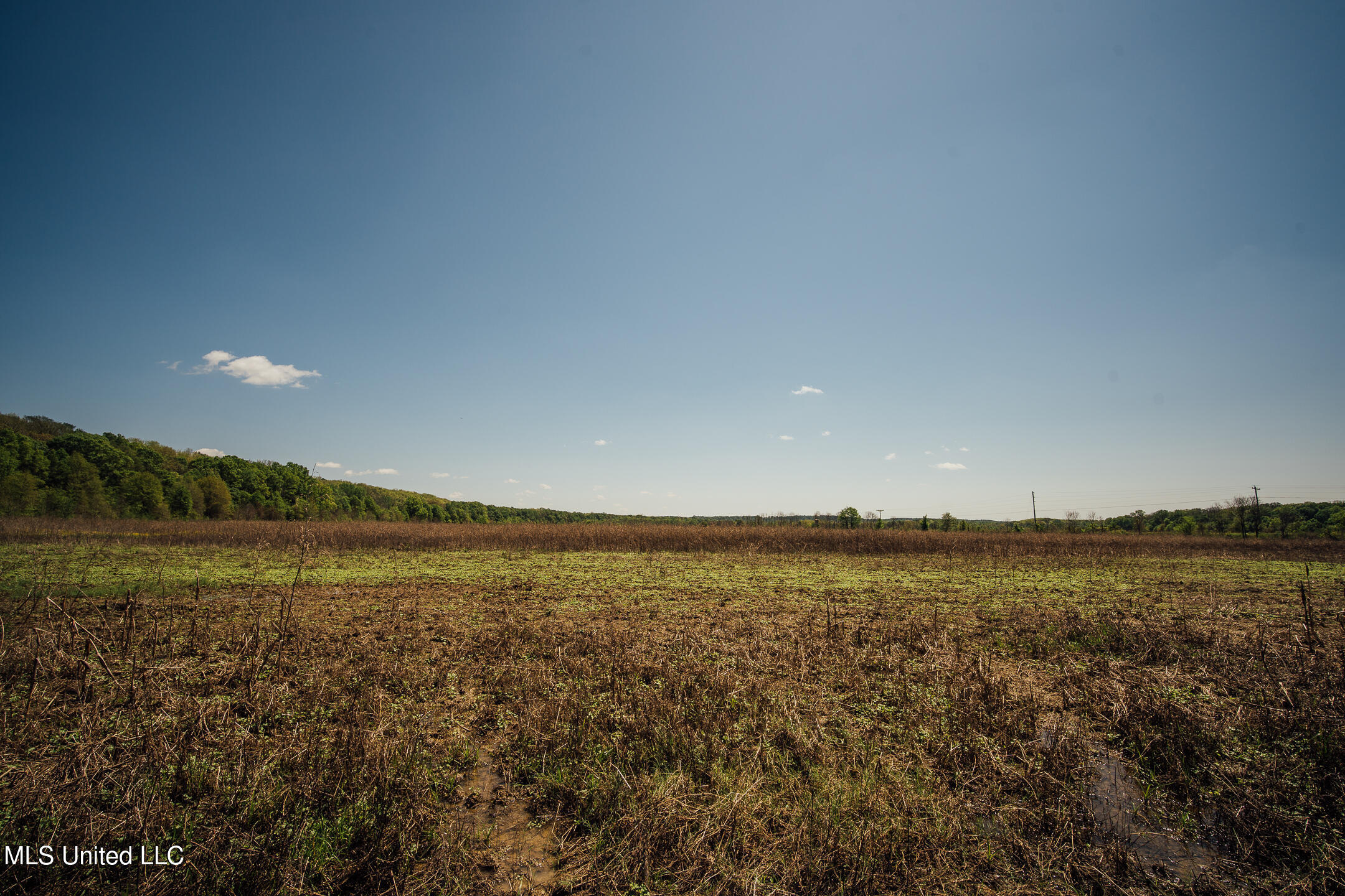 County Rd 176 Property Photo 34