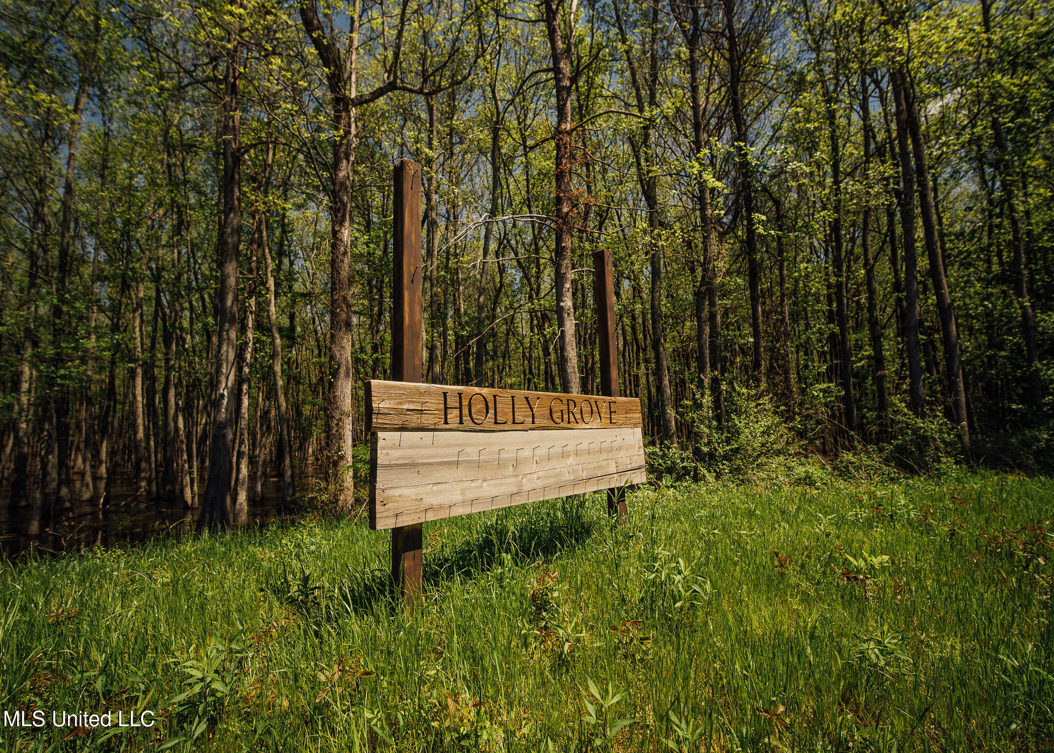 County Rd 176 Property Photo 45