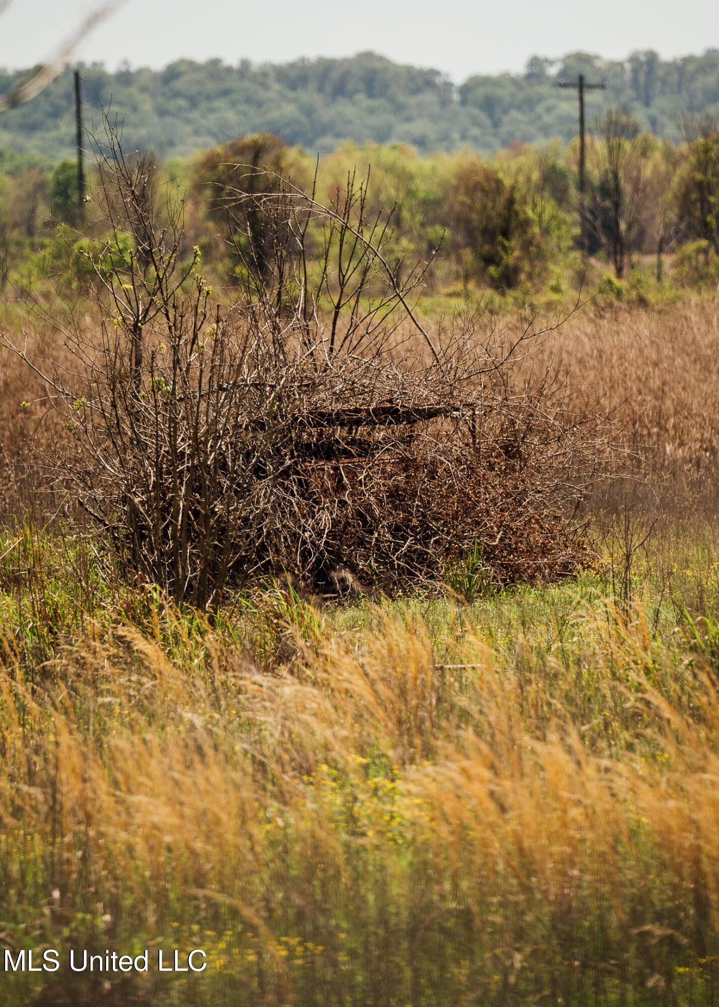 County Rd 176 Property Photo 48