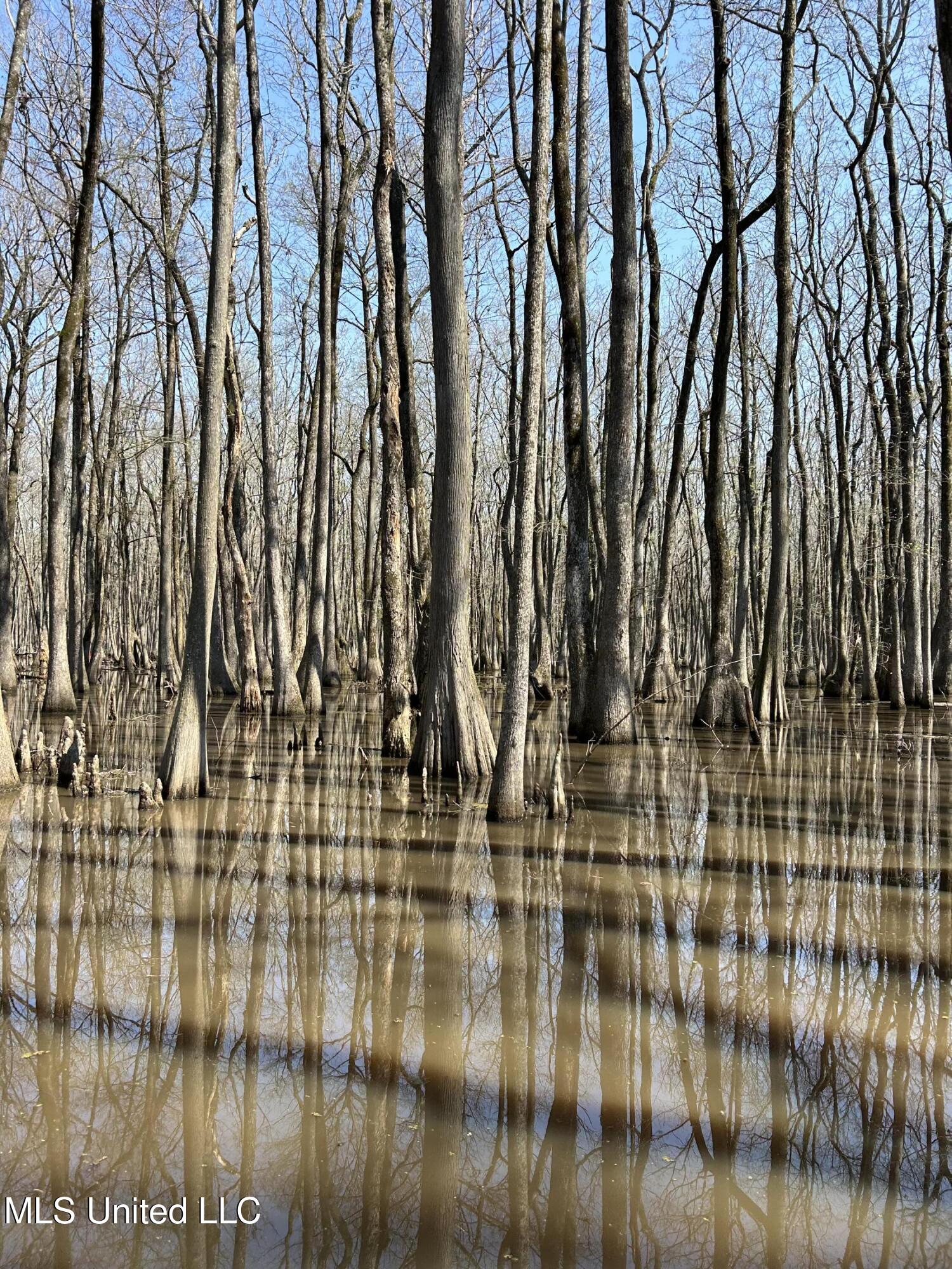 County Rd 176 Property Photo 56