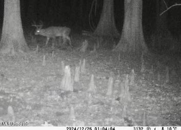 County Rd 176 Property Photo 58