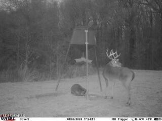 County Rd 176 Property Photo 59