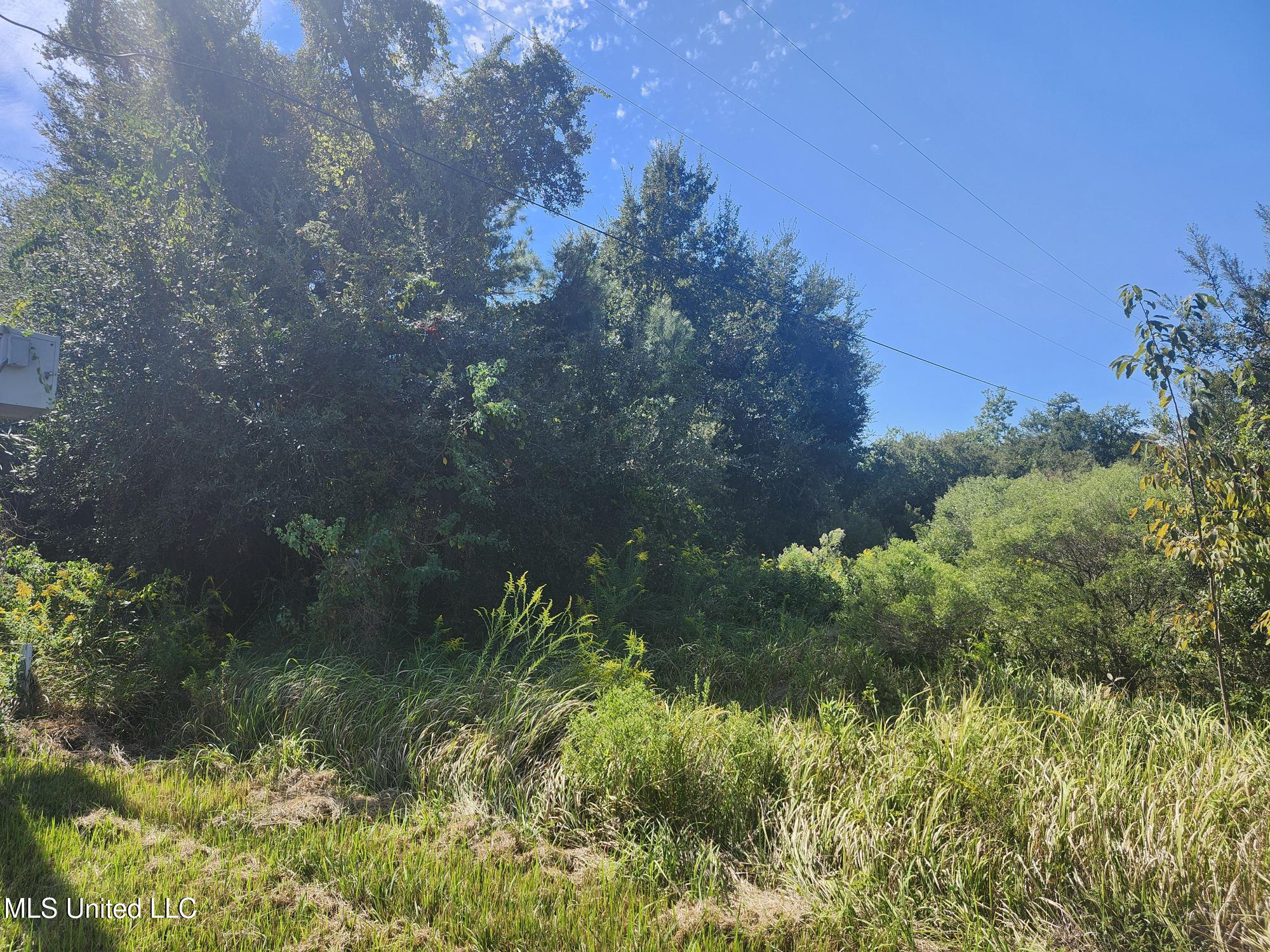 3rd Avenue Avenue Property Photo 5