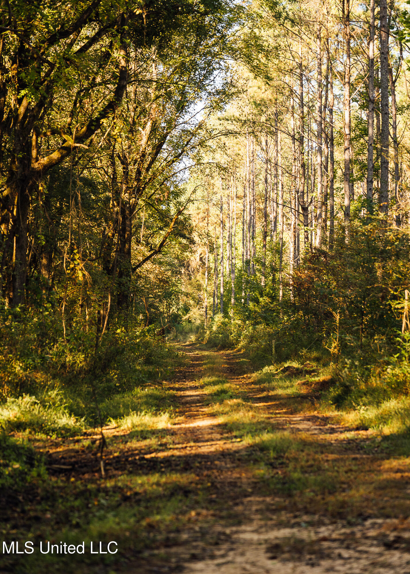 Ms- 4 Property Photo 1