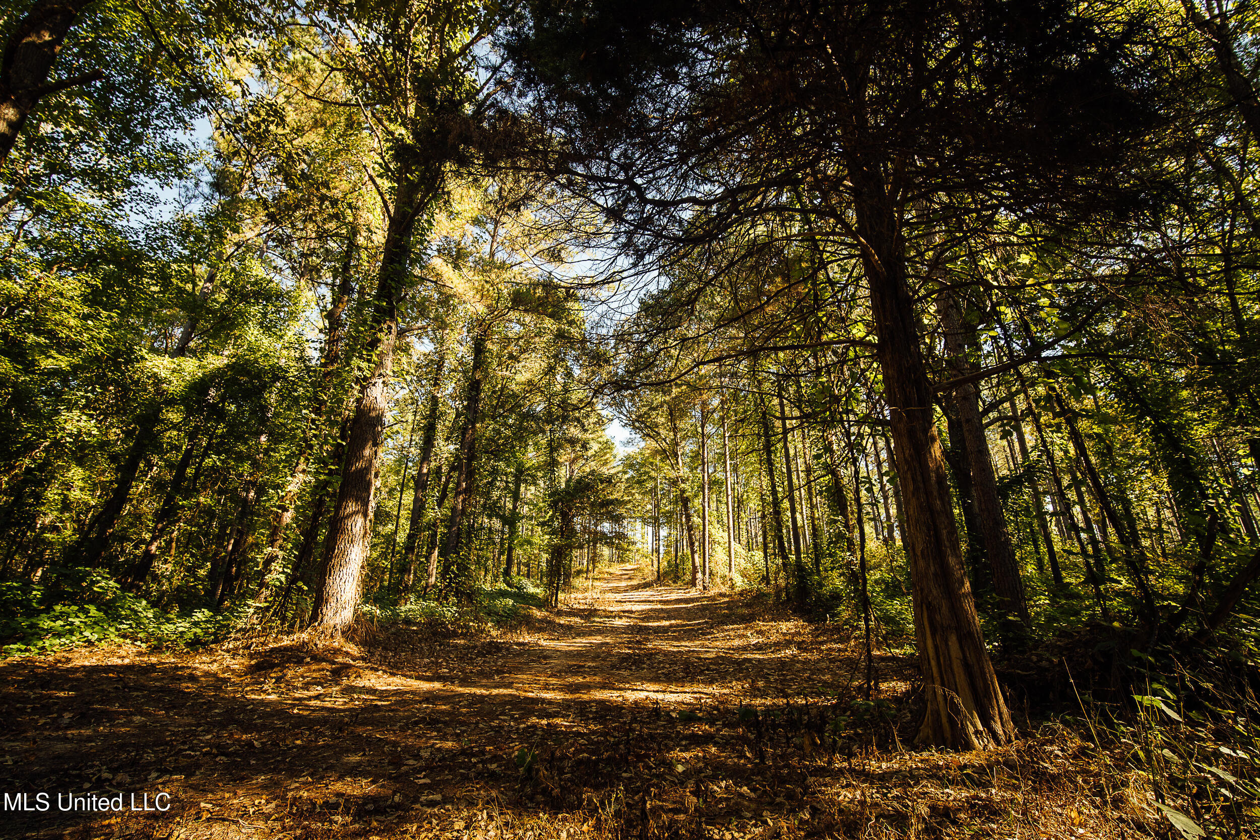 Ms- 4 Property Photo 2