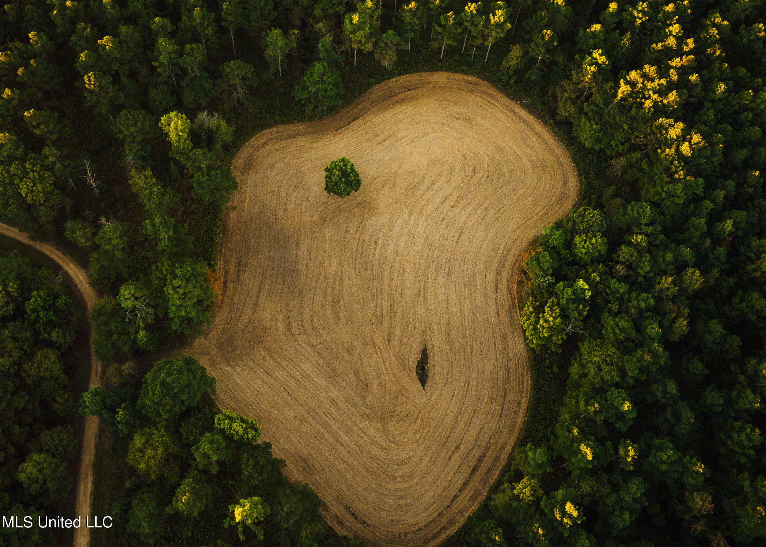 Ms- 4 Property Photo 4