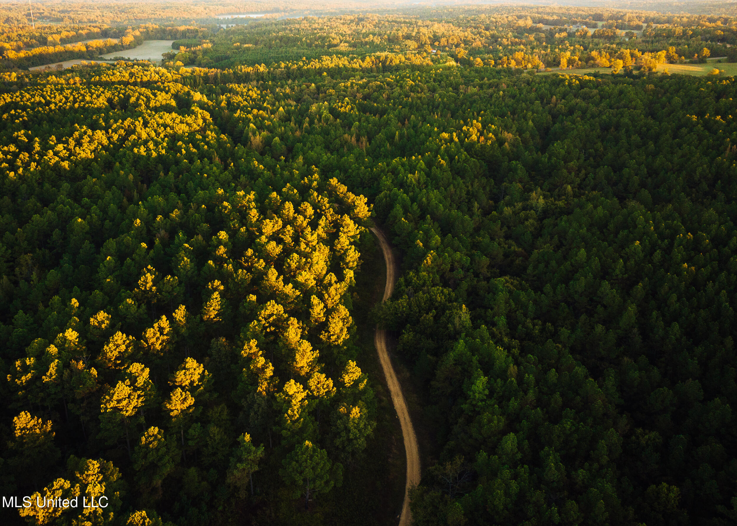 Ms- 4 Property Photo 5