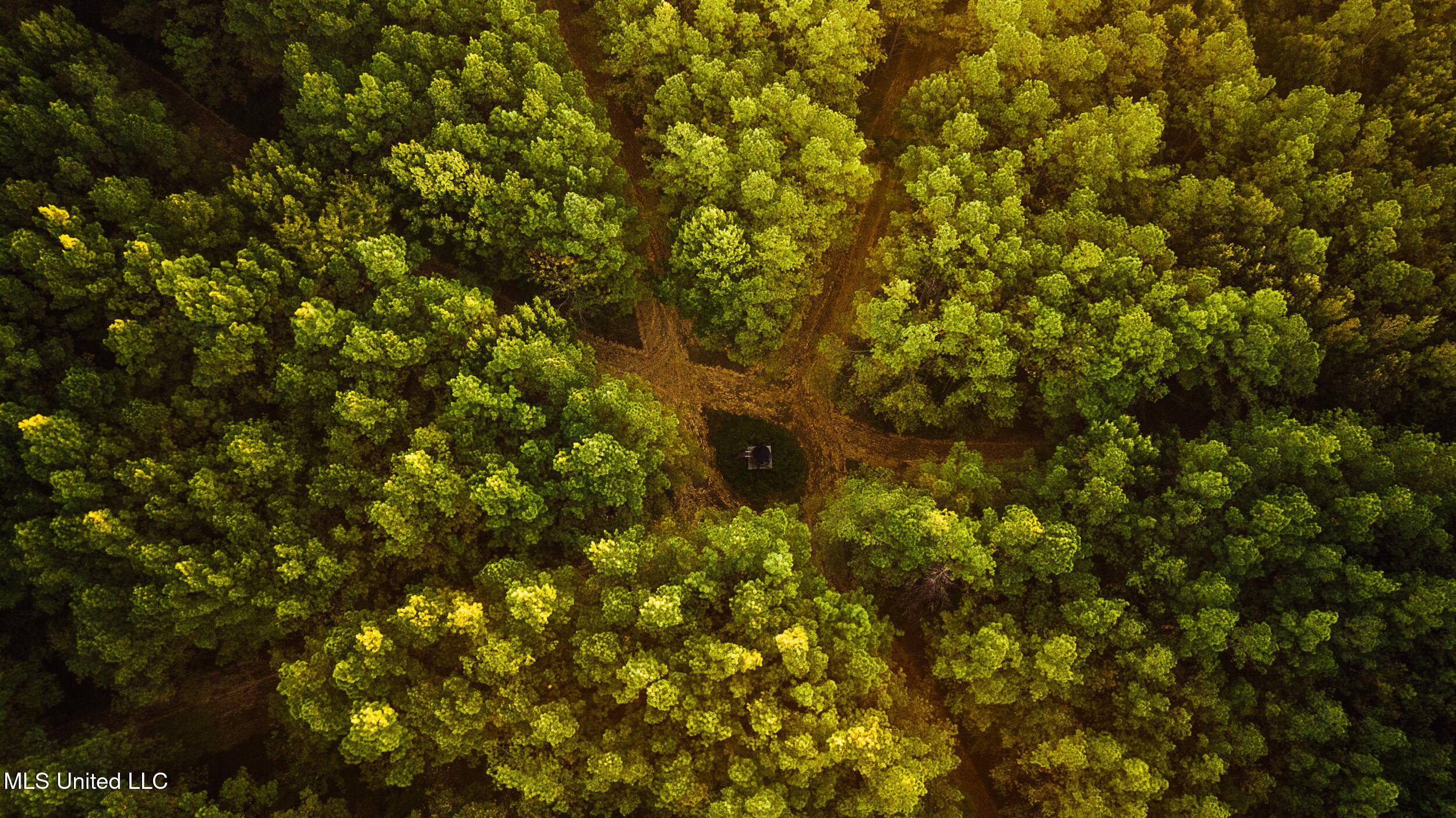 Ms- 4 Property Photo 6