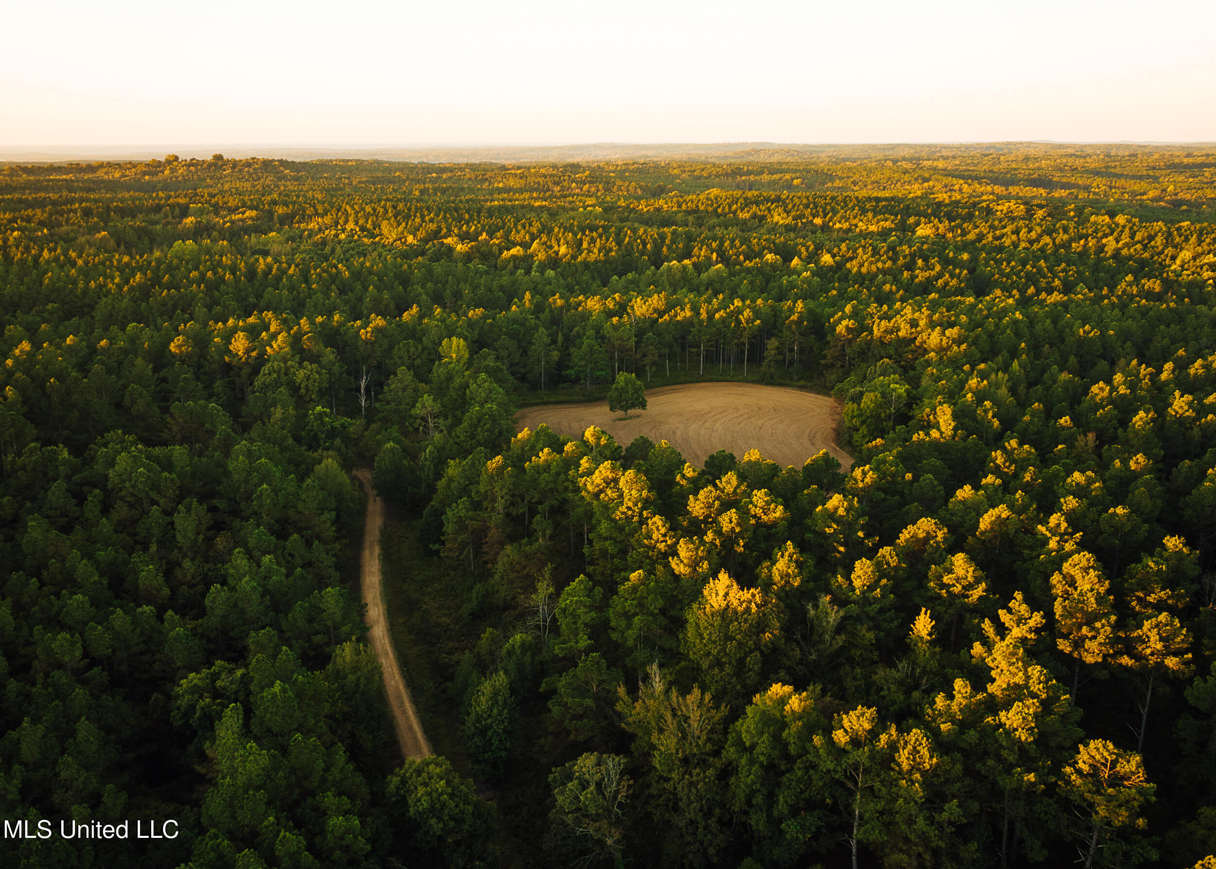 Ms- 4 Property Photo 7