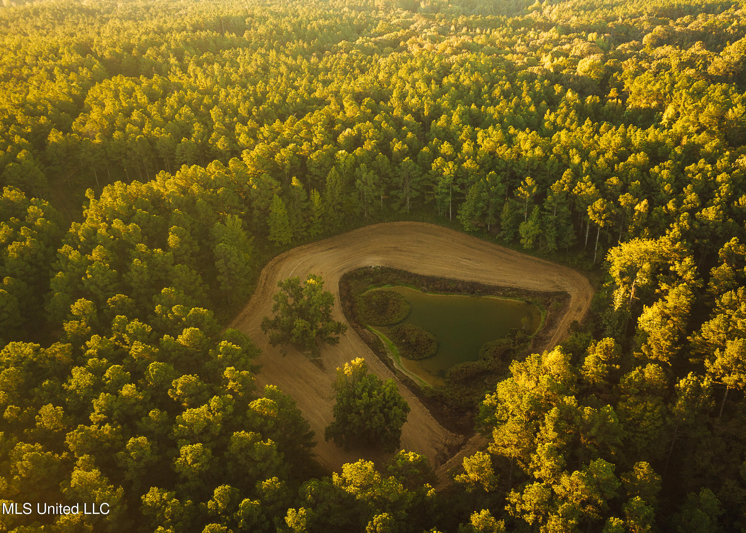 Ms- 4 Property Photo 8