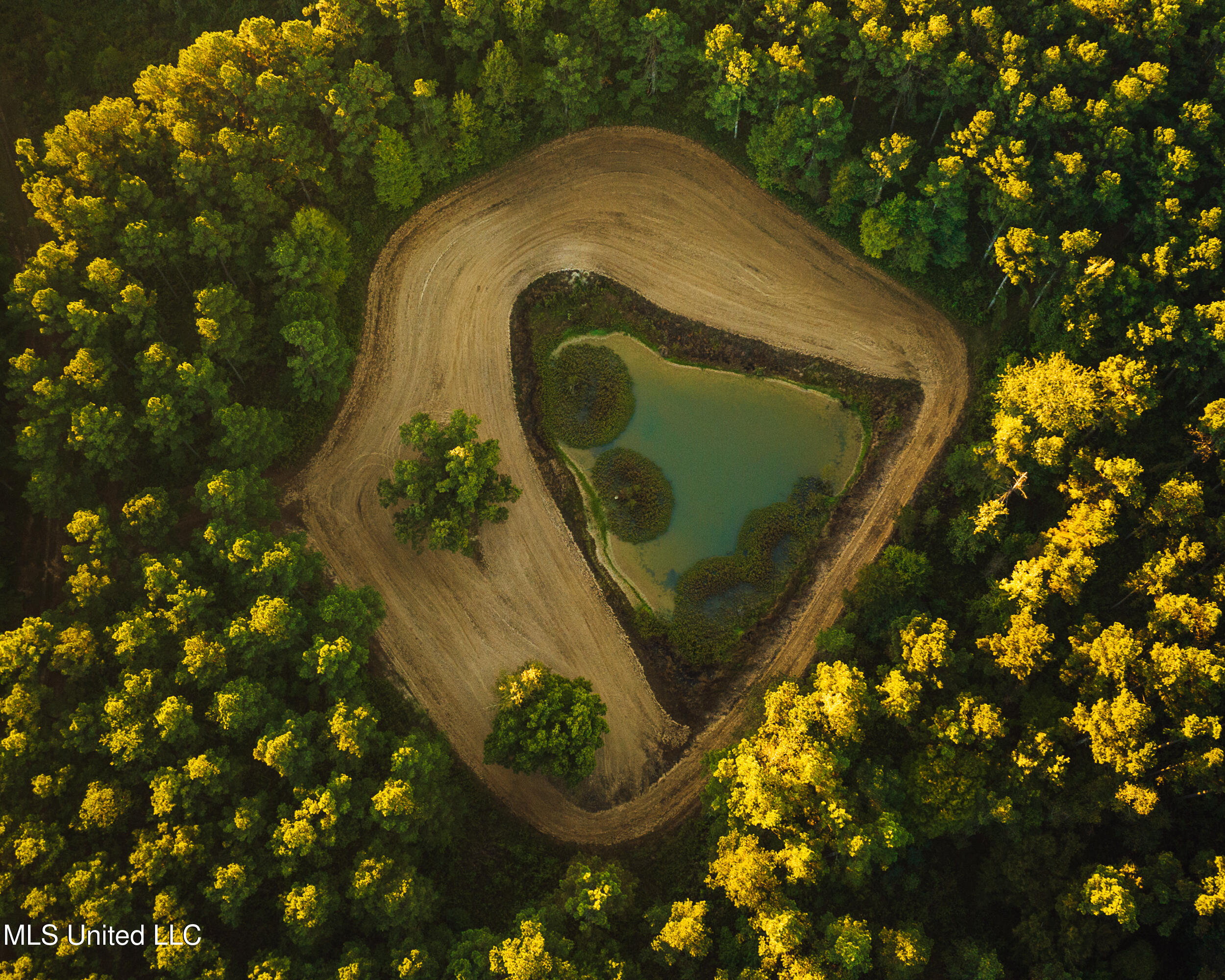 Ms- 4 Property Photo 9