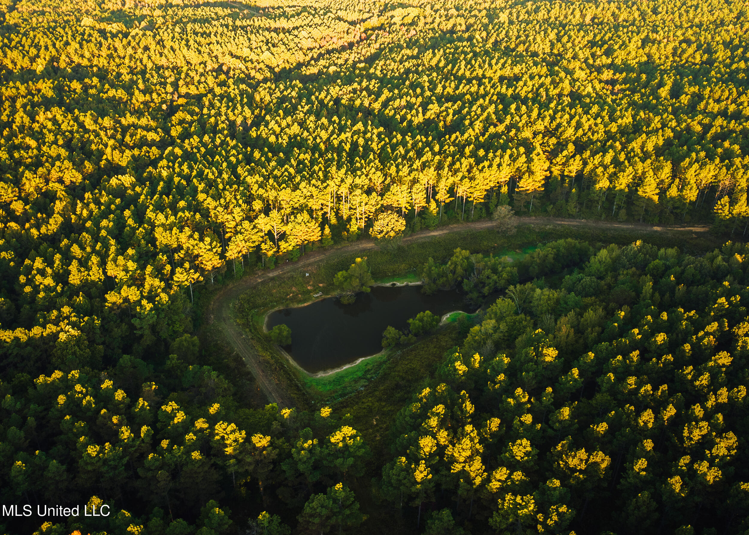 Ms- 4 Property Photo 10