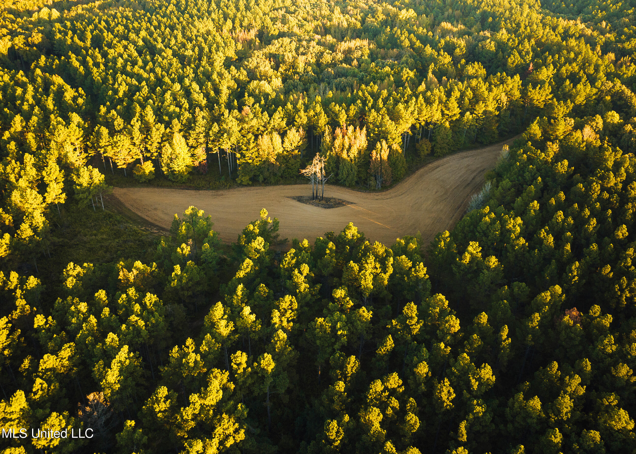 Ms- 4 Property Photo 11