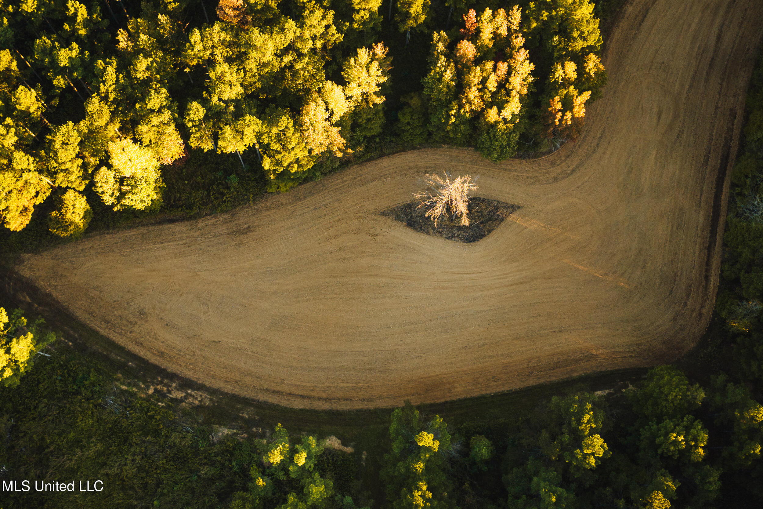 Ms- 4 Property Photo 13