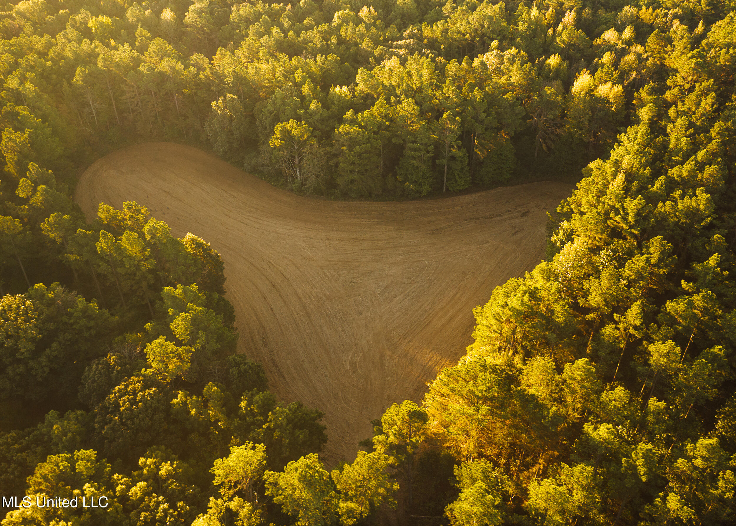 Ms- 4 Property Photo 16