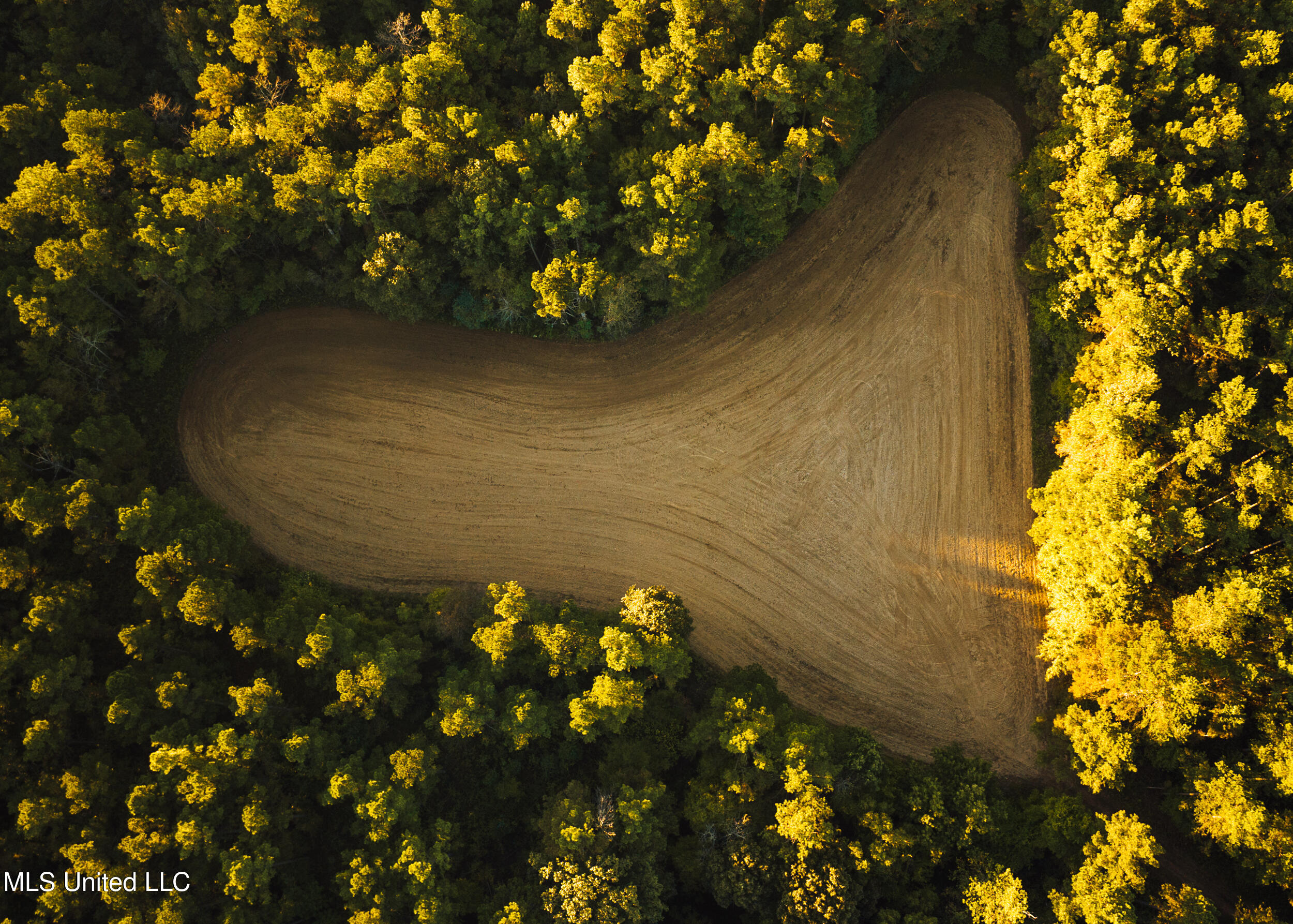 Ms- 4 Property Photo 17