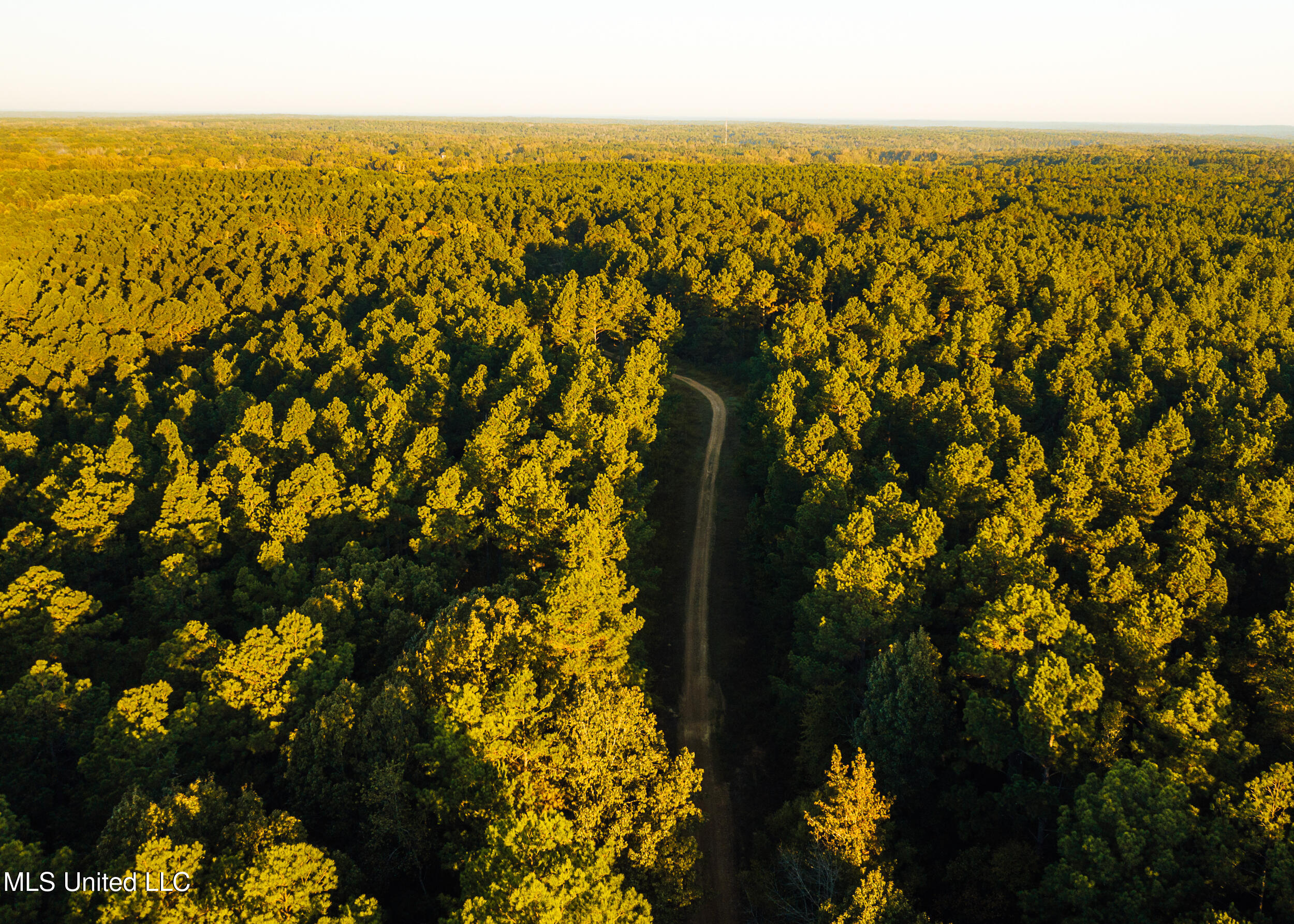 Ms- 4 Property Photo 18