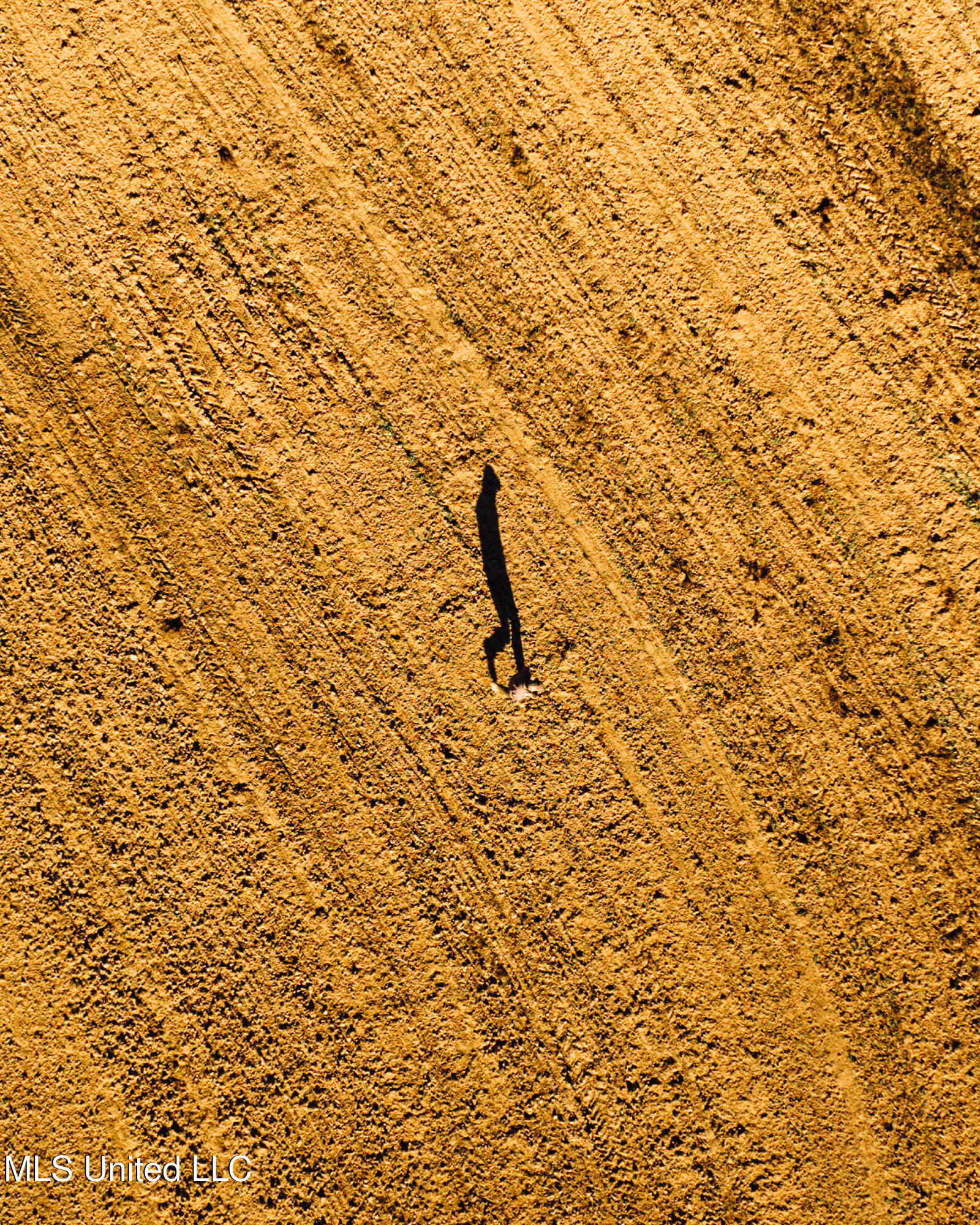 Ms- 4 Property Photo 19