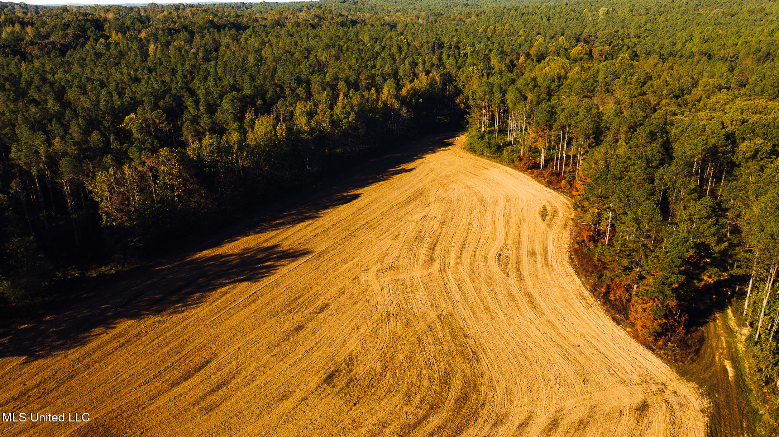 Ms- 4 Property Photo 20