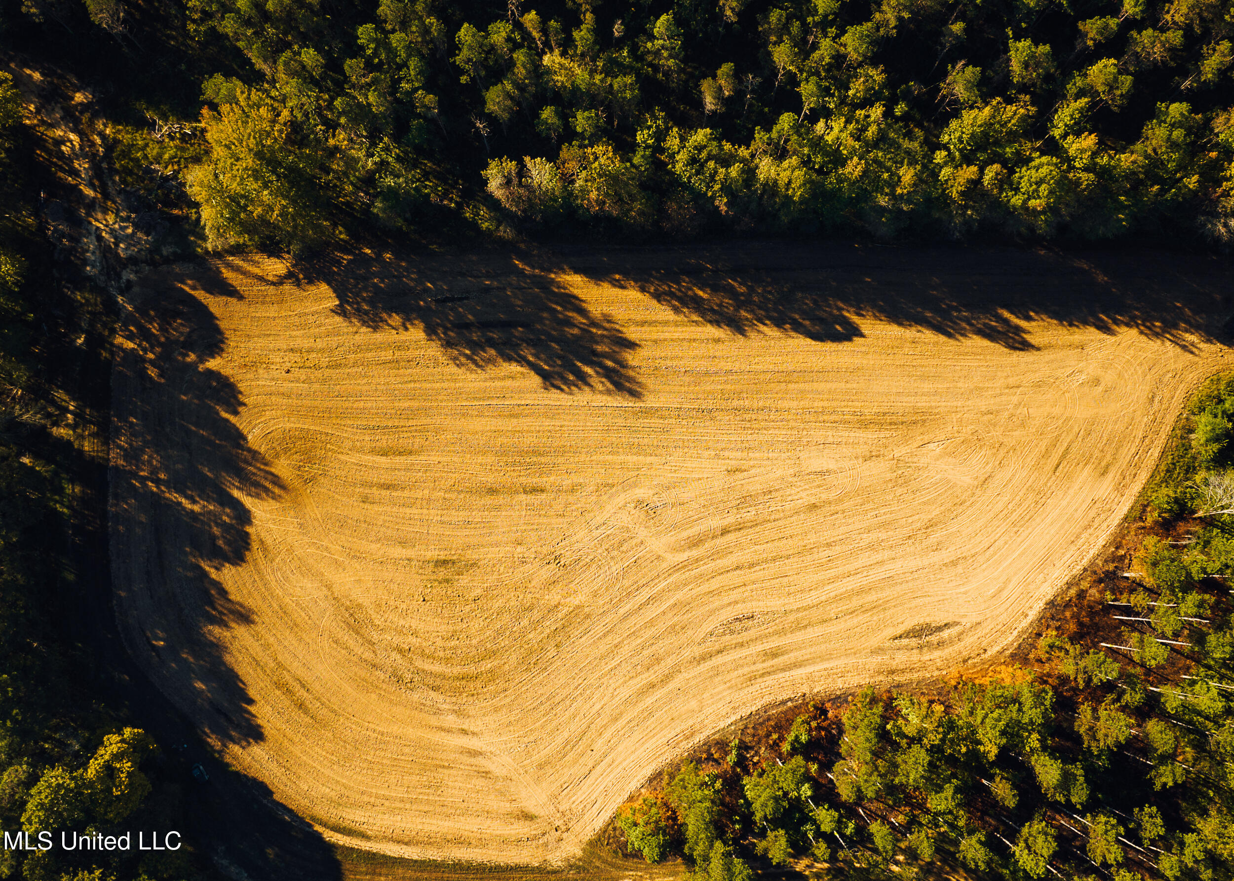 Ms- 4 Property Photo 21