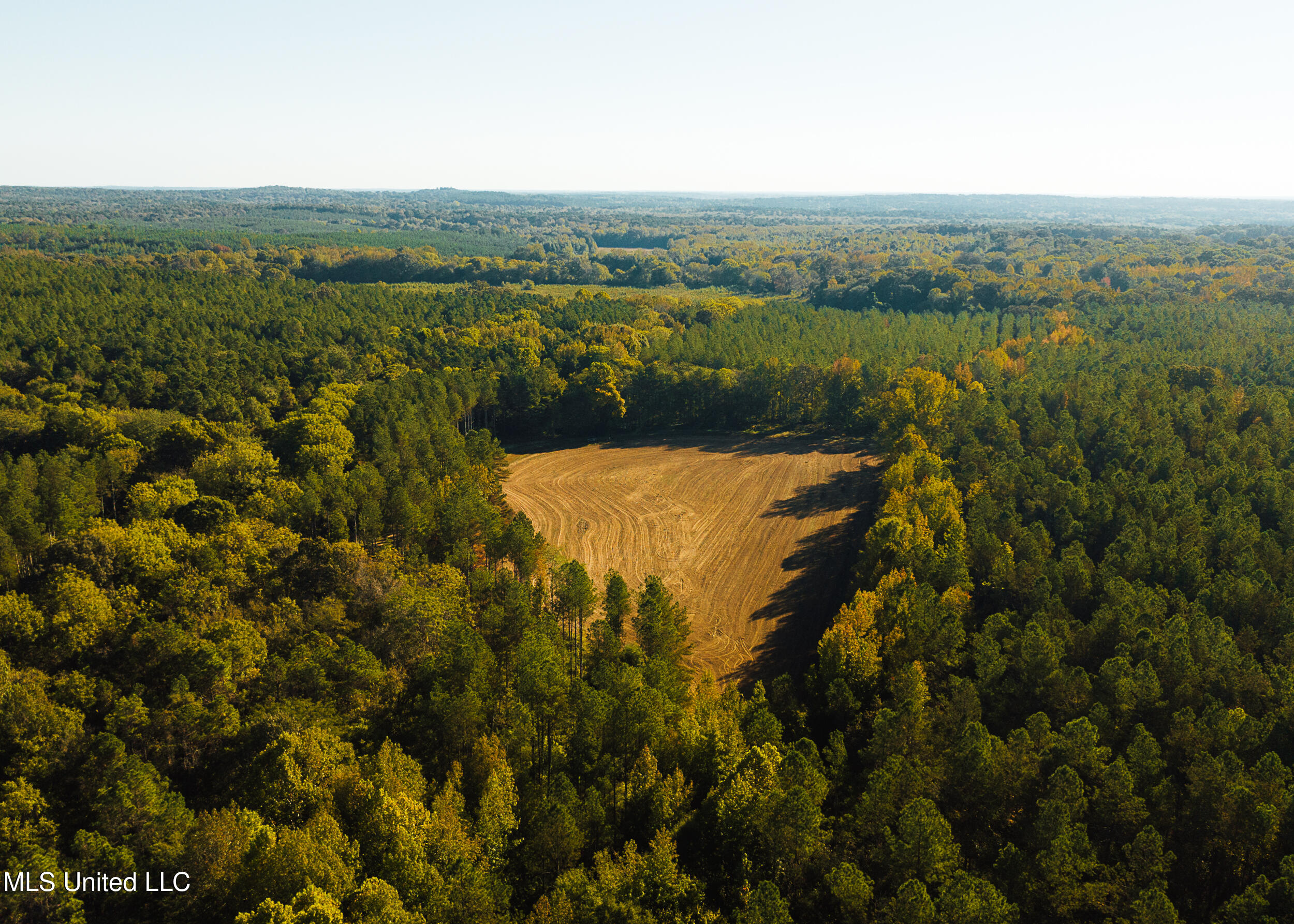 Ms- 4 Property Photo 22