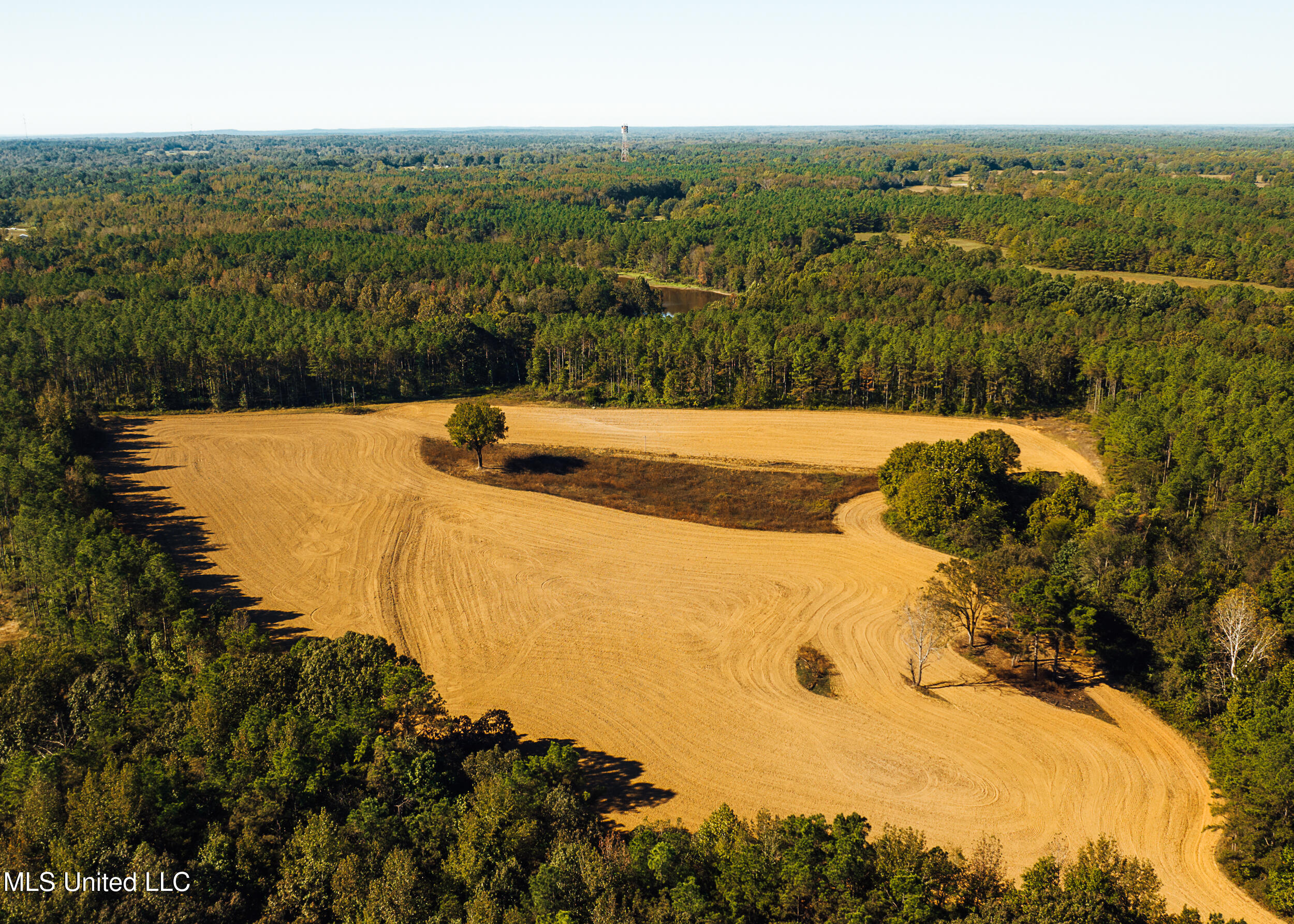 Ms- 4 Property Photo 24