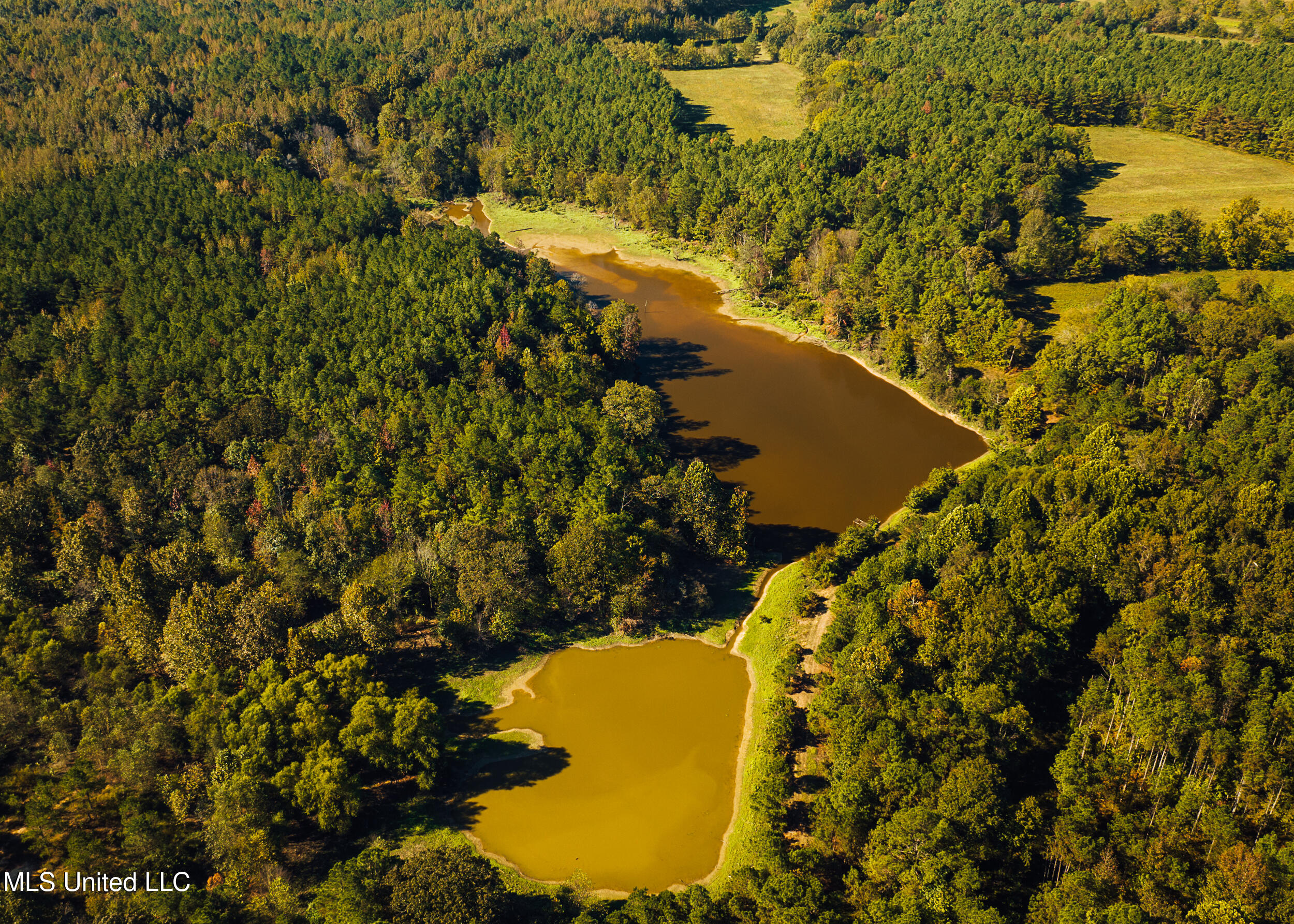 Ms- 4 Property Photo 25