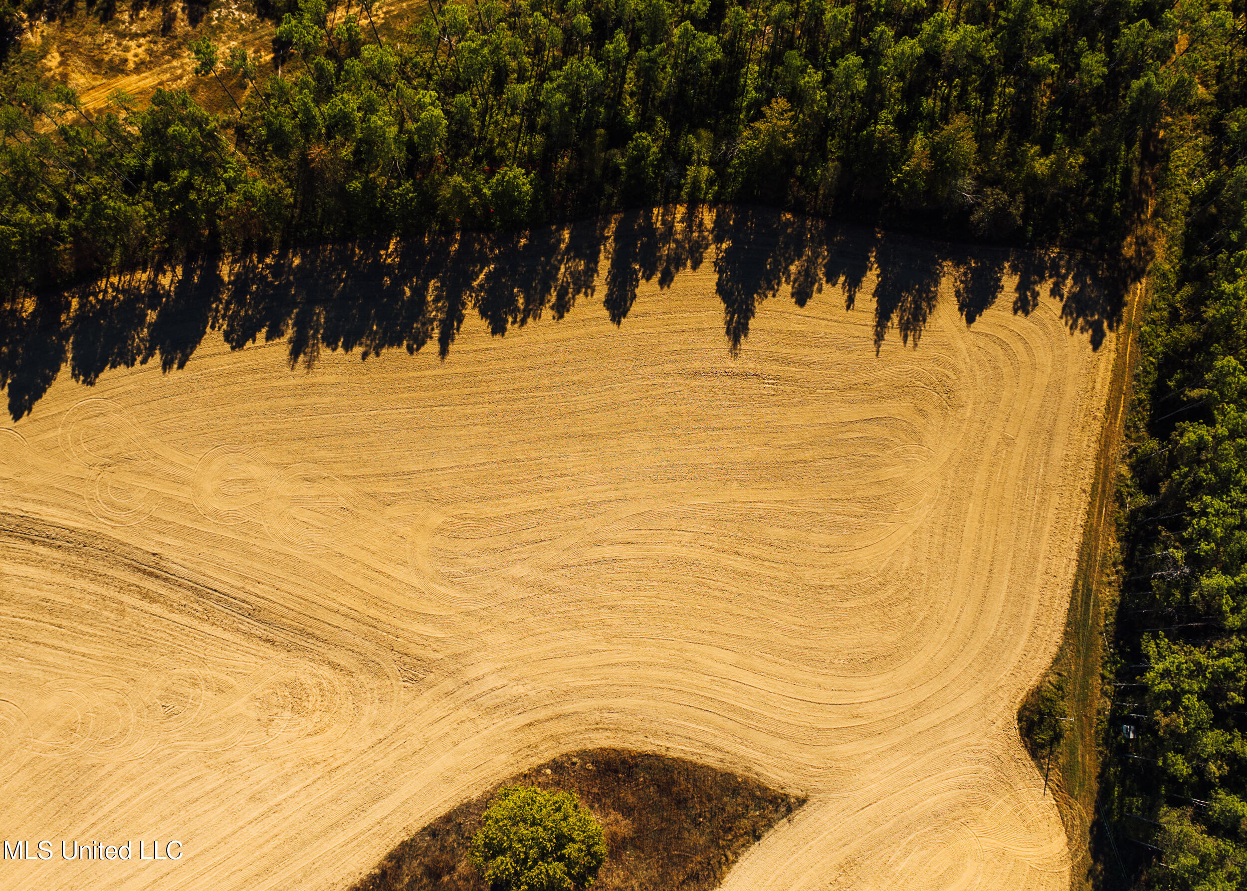 Ms- 4 Property Photo 26