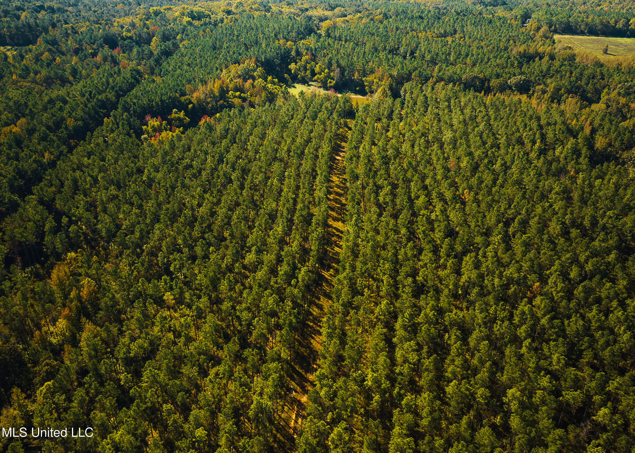 Ms- 4 Property Photo 27