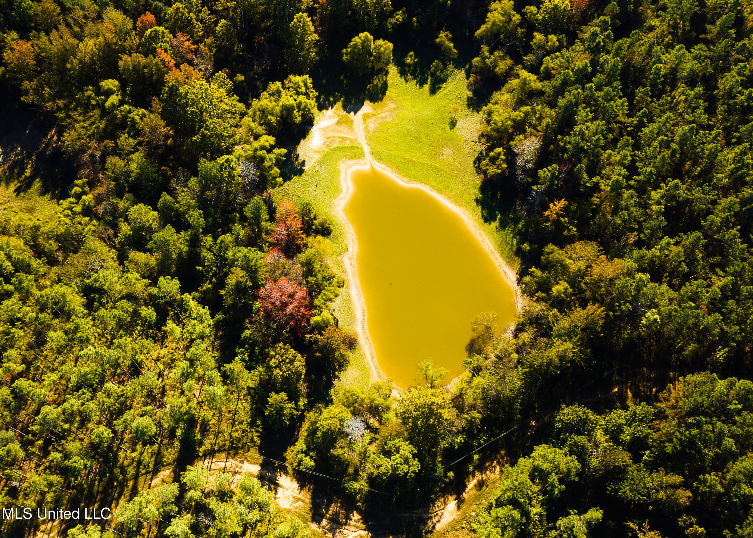 Ms- 4 Property Photo 28