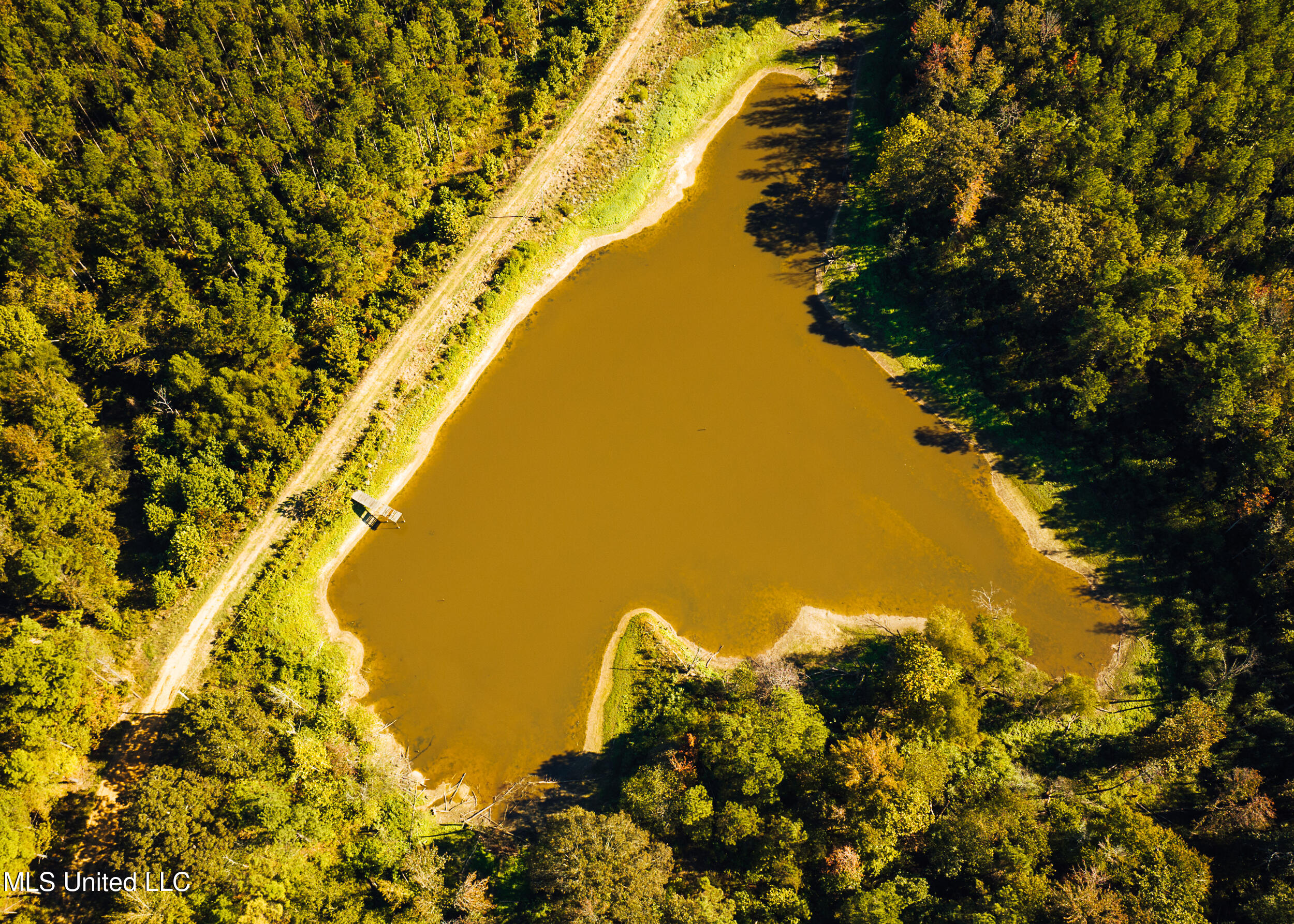 Ms- 4 Property Photo 30