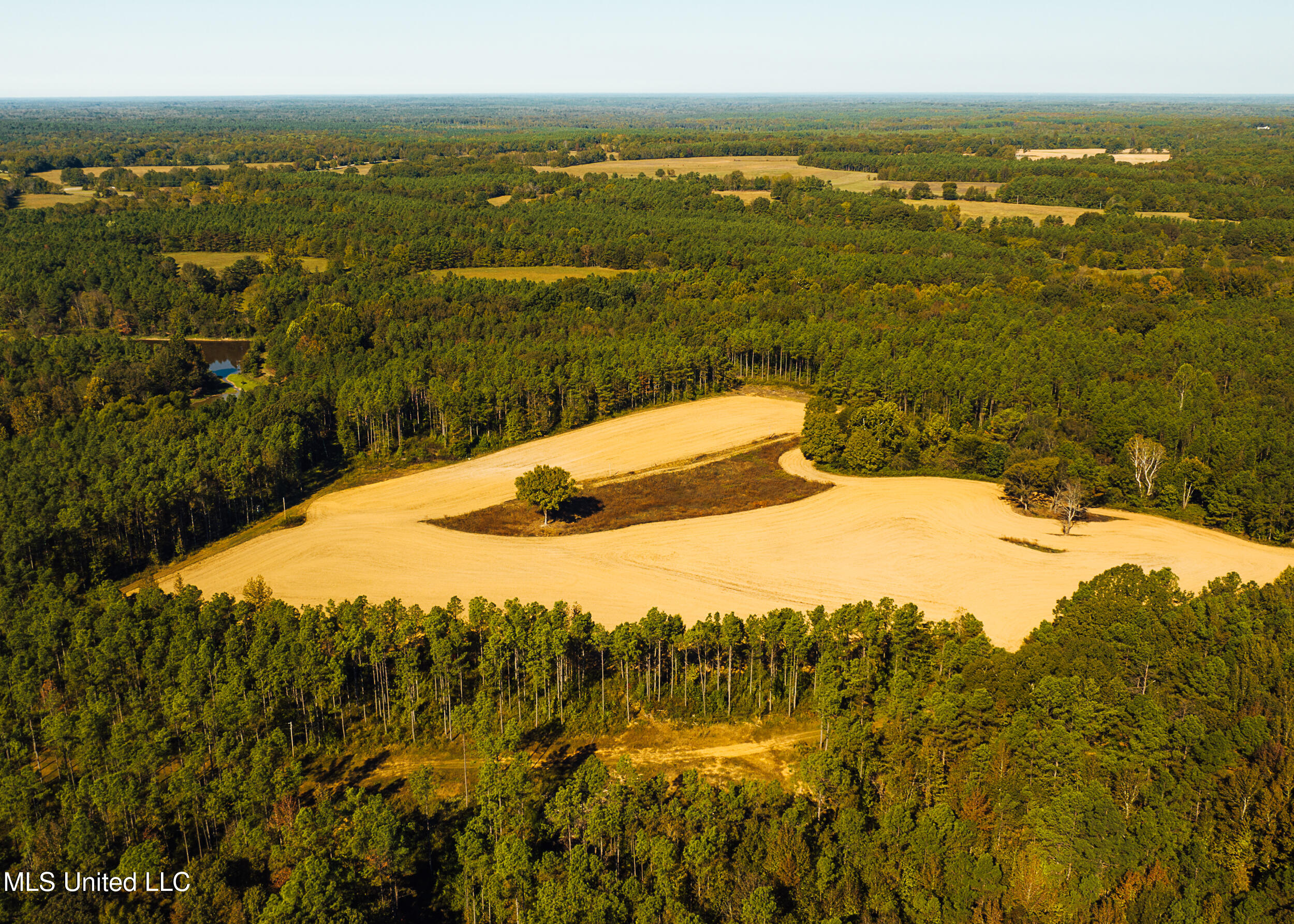 Ms- 4 Property Photo 31