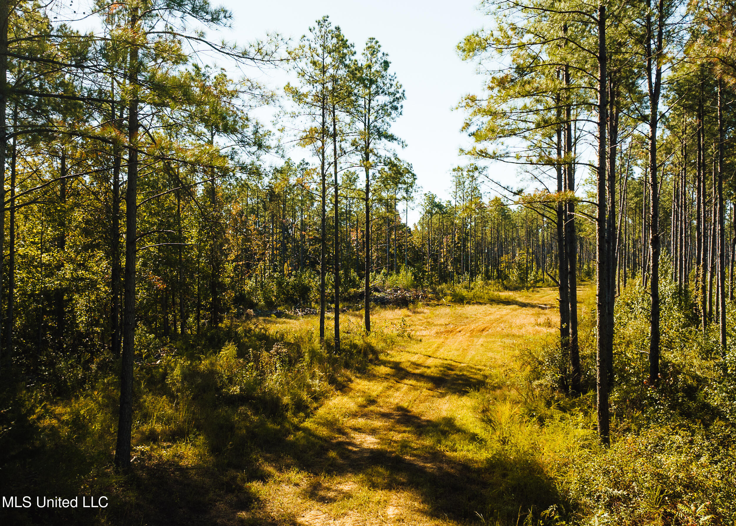 Ms- 4 Property Photo 32