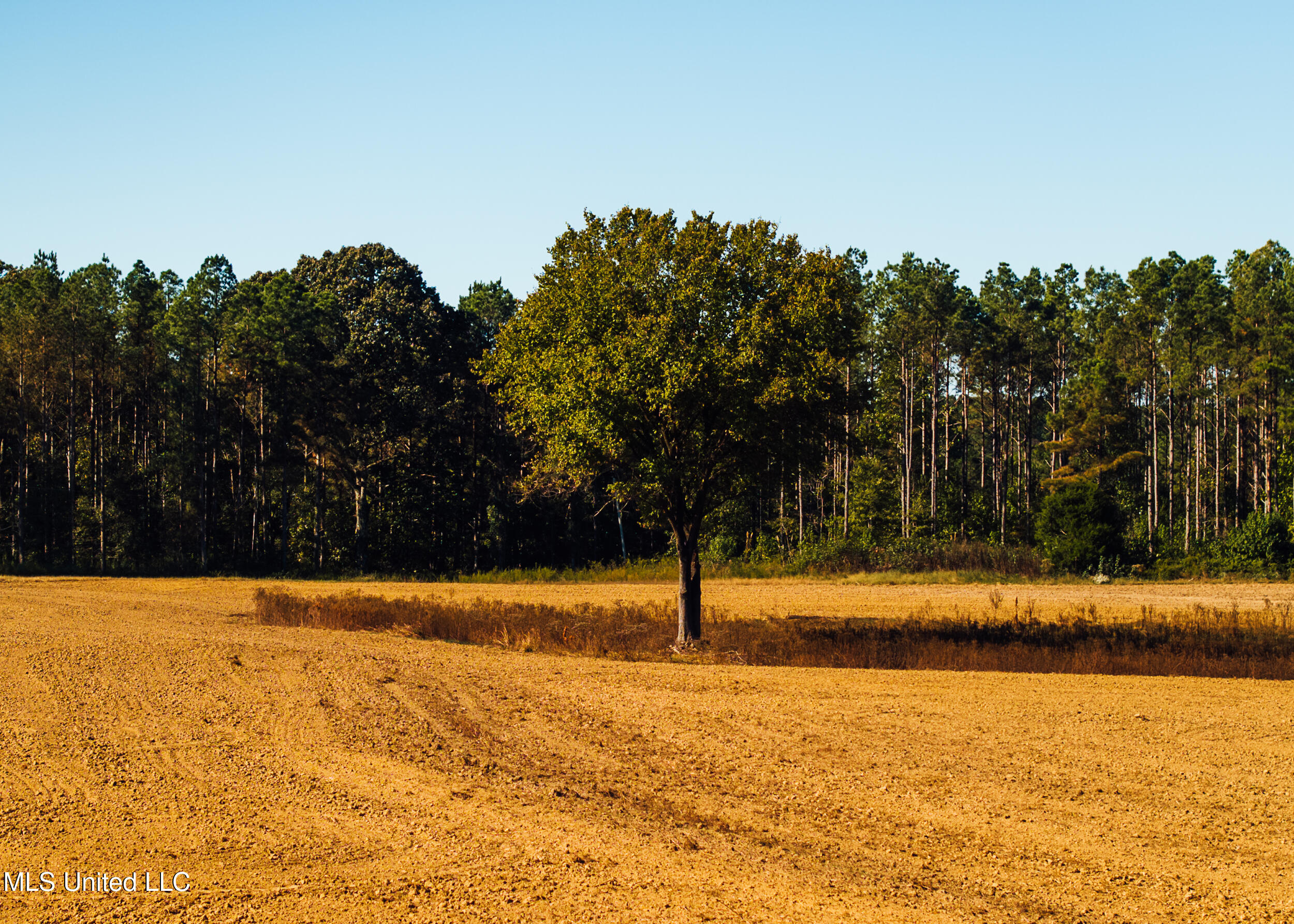 Ms- 4 Property Photo 33