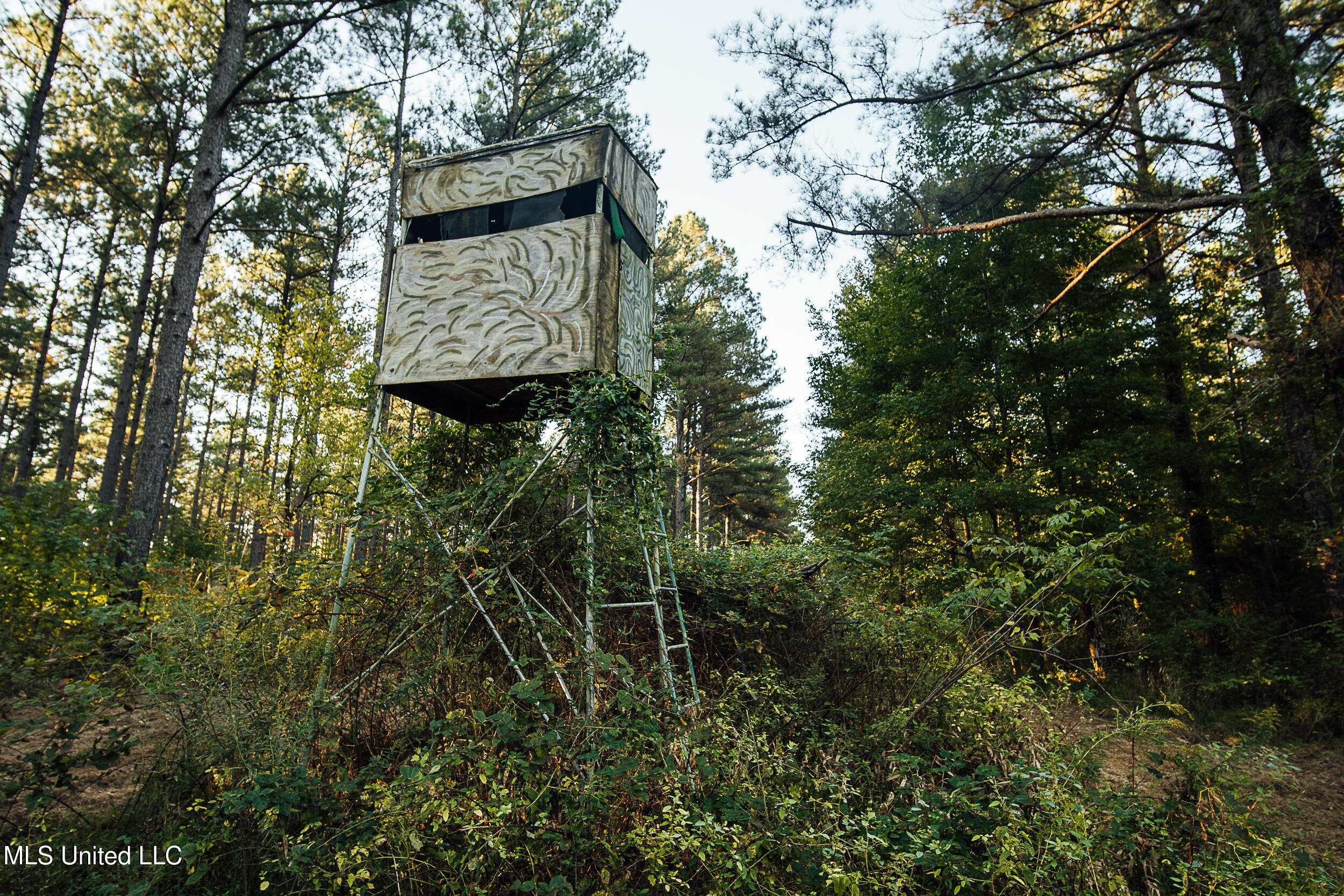 Ms- 4 Property Photo 38