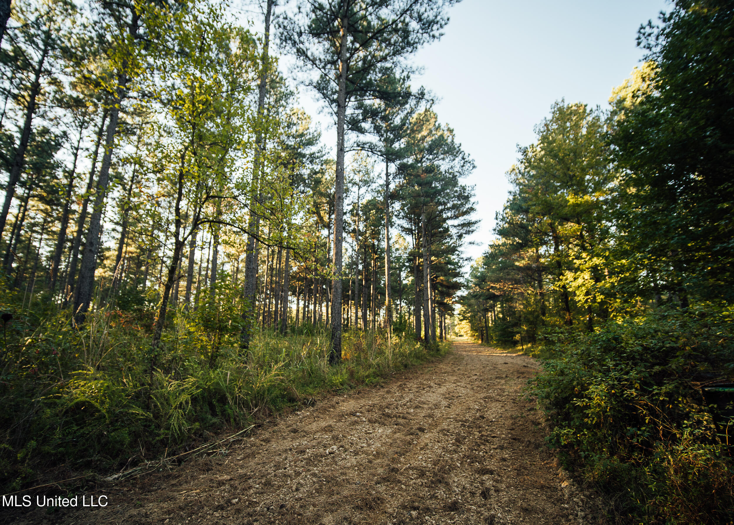 Ms- 4 Property Photo 39