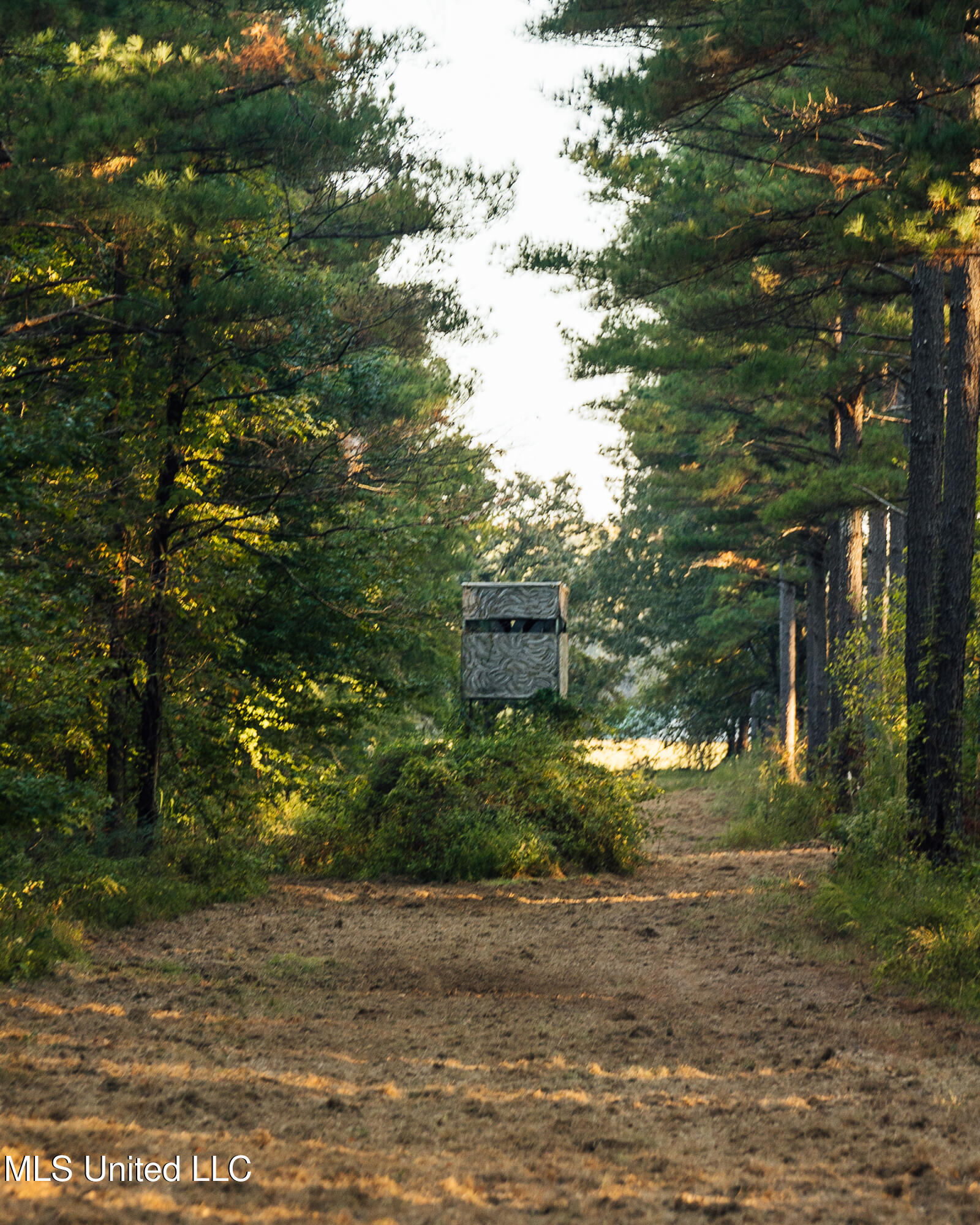 Ms- 4 Property Photo 47