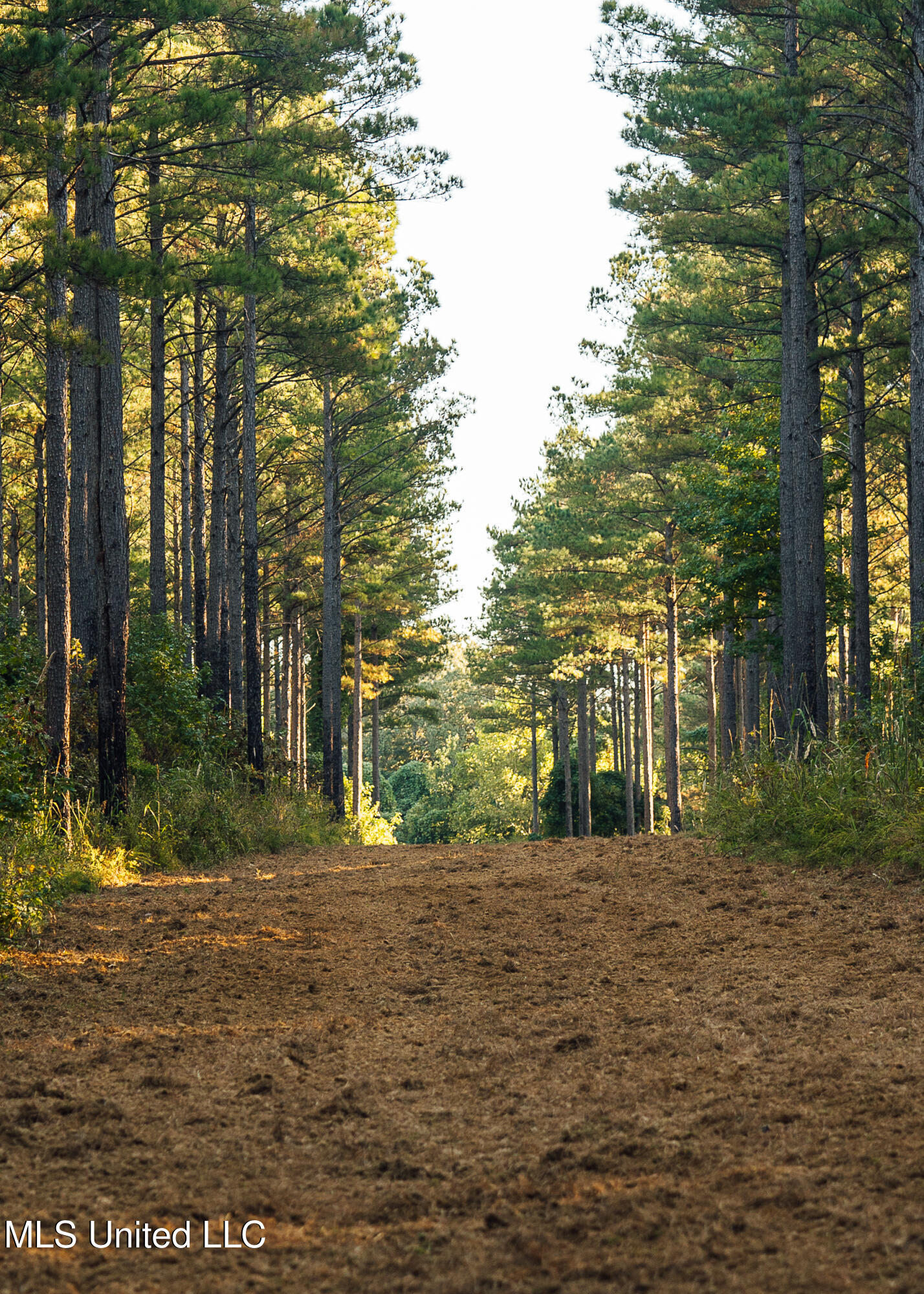 Ms- 4 Property Photo 48