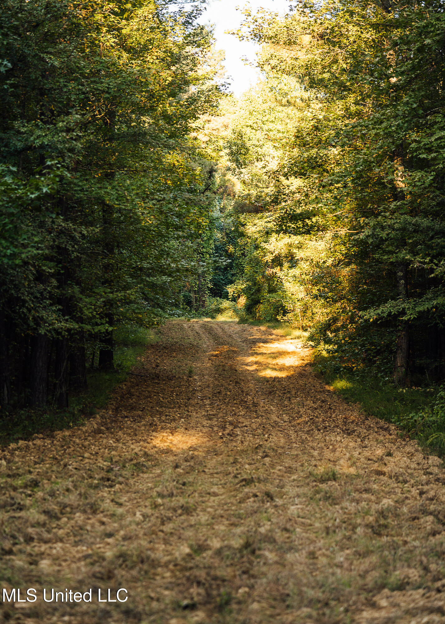 Ms- 4 Property Photo 52