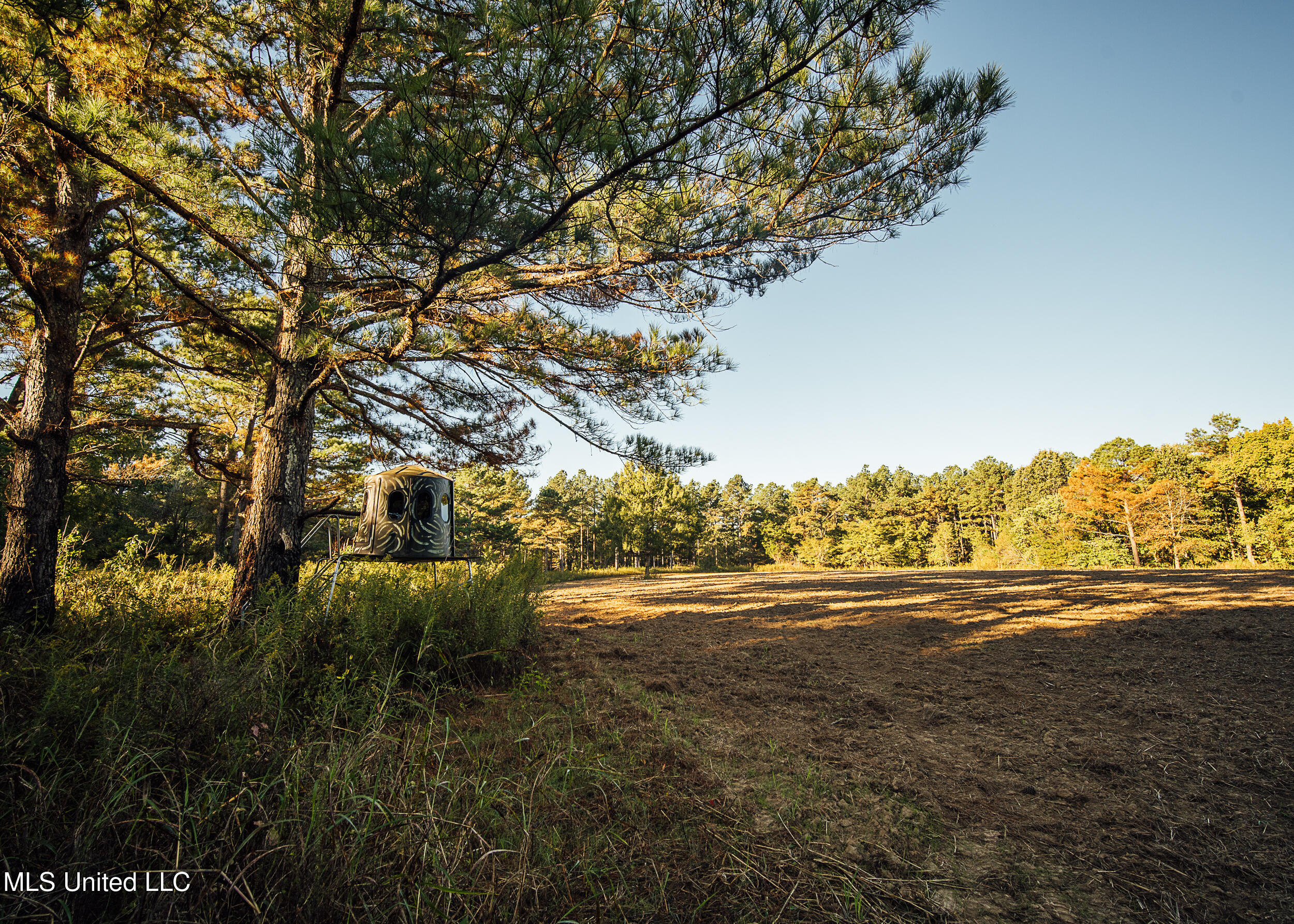 Ms- 4 Property Photo 53