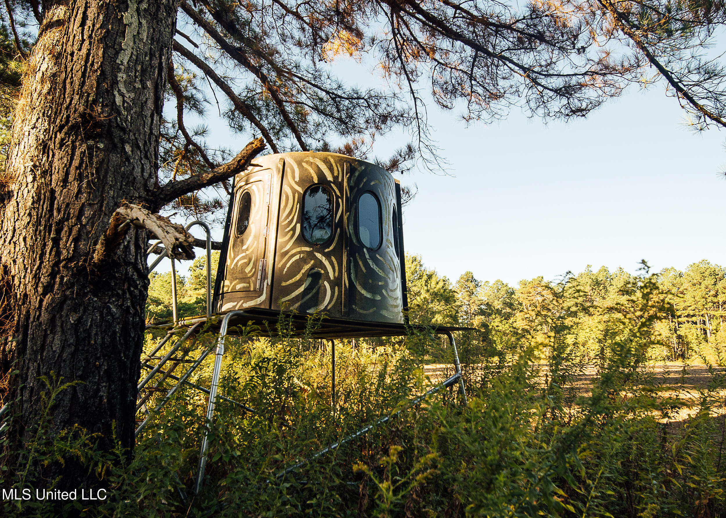 Ms- 4 Property Photo 54