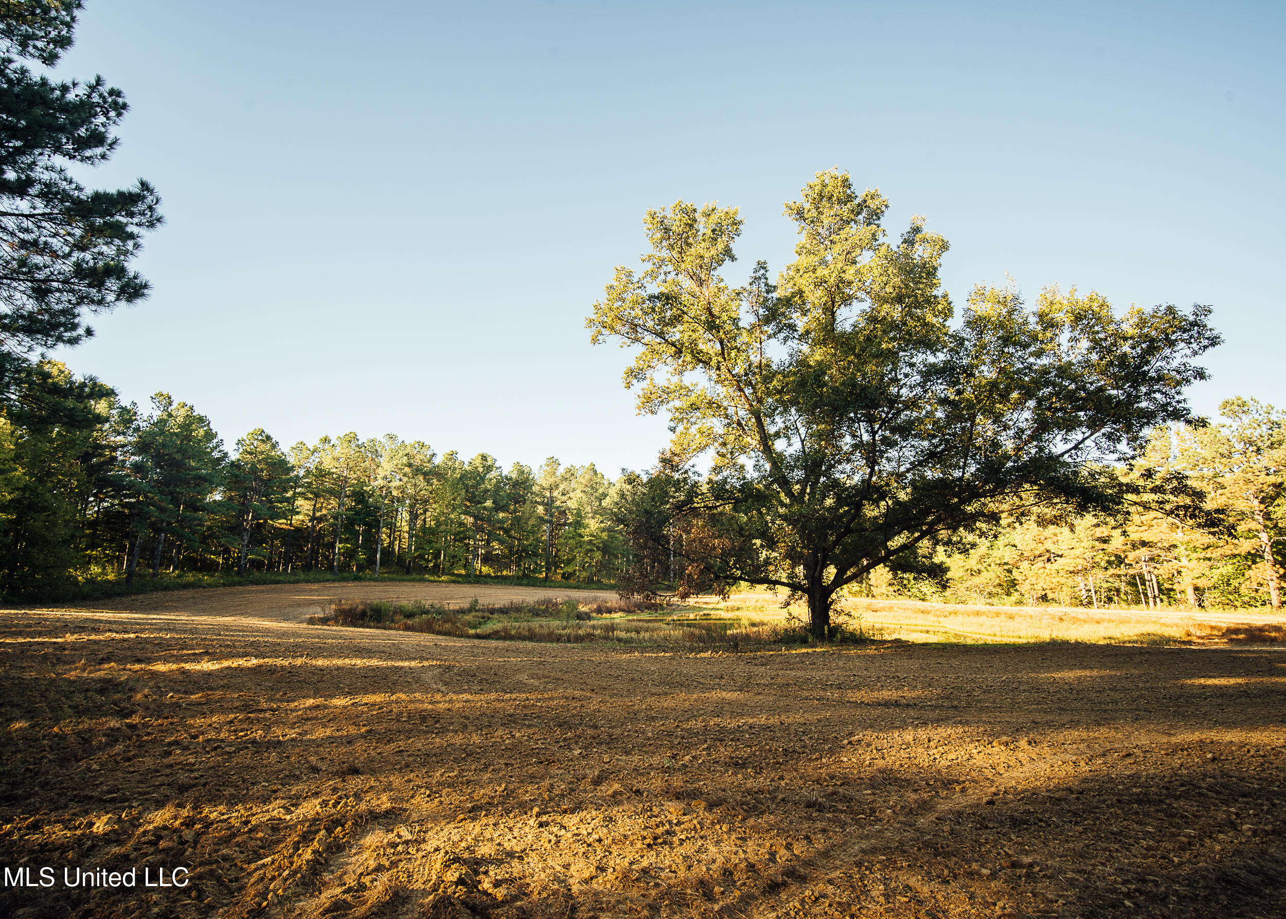 Ms- 4 Property Photo 55