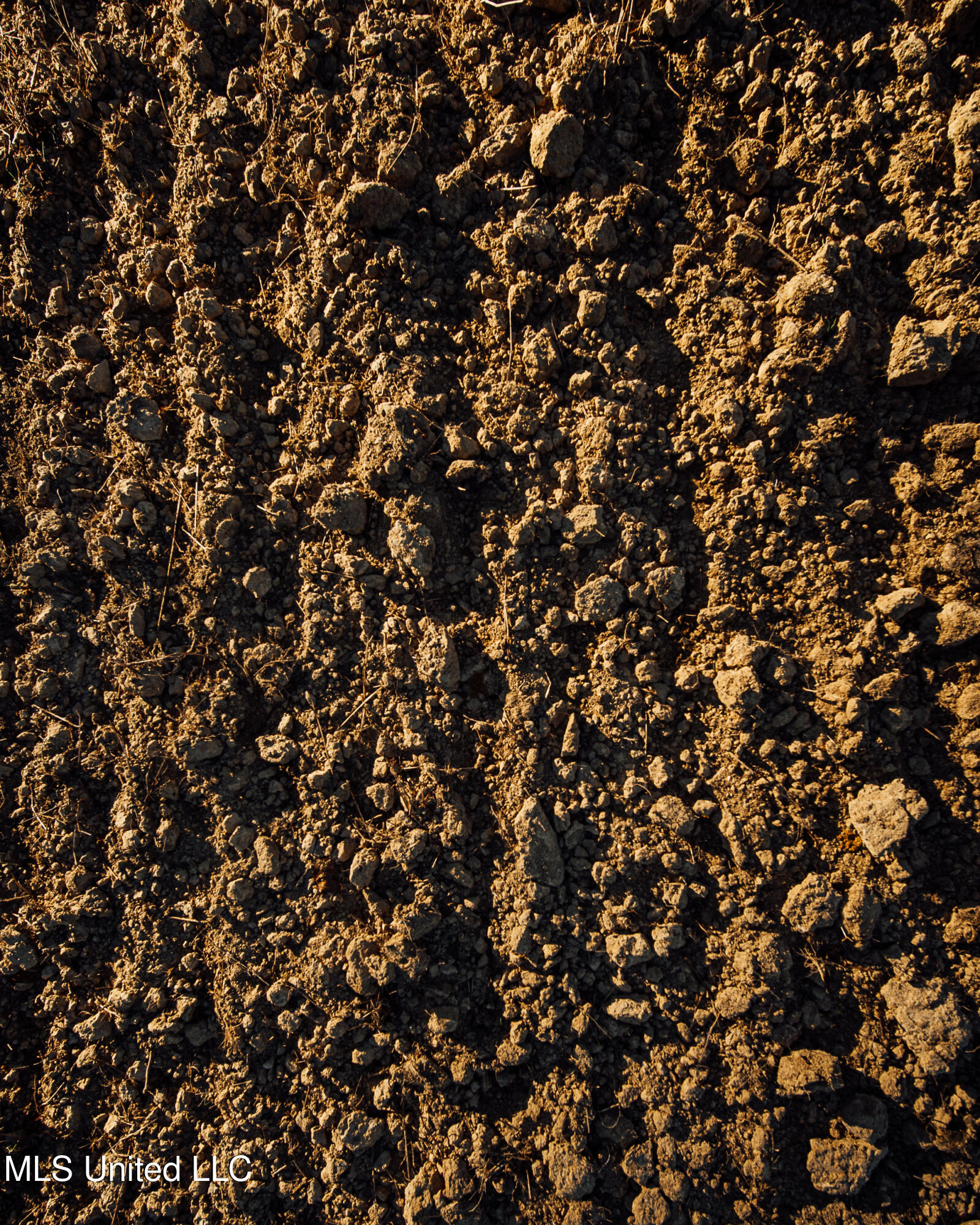 Ms- 4 Property Photo 56