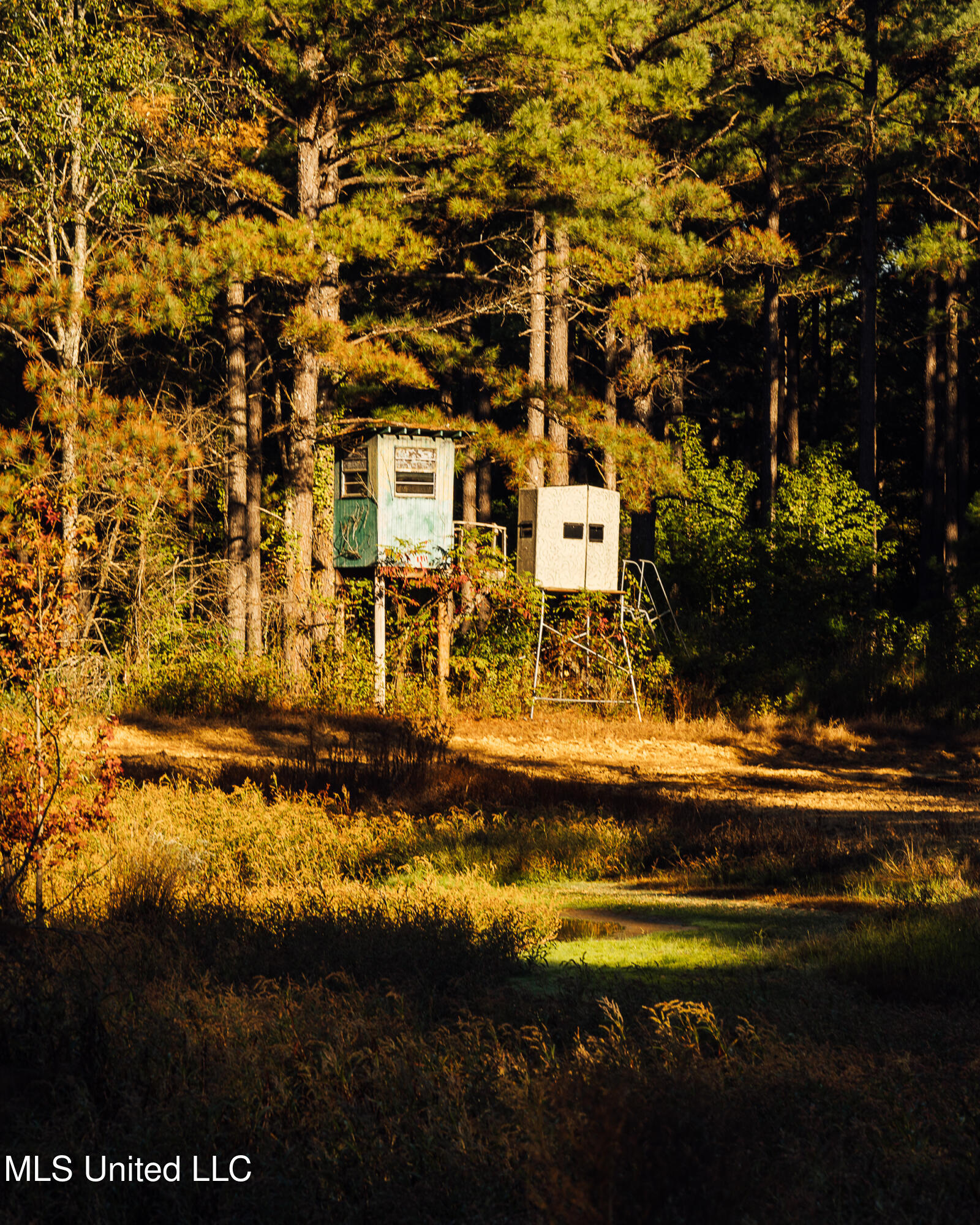 Ms- 4 Property Photo 60