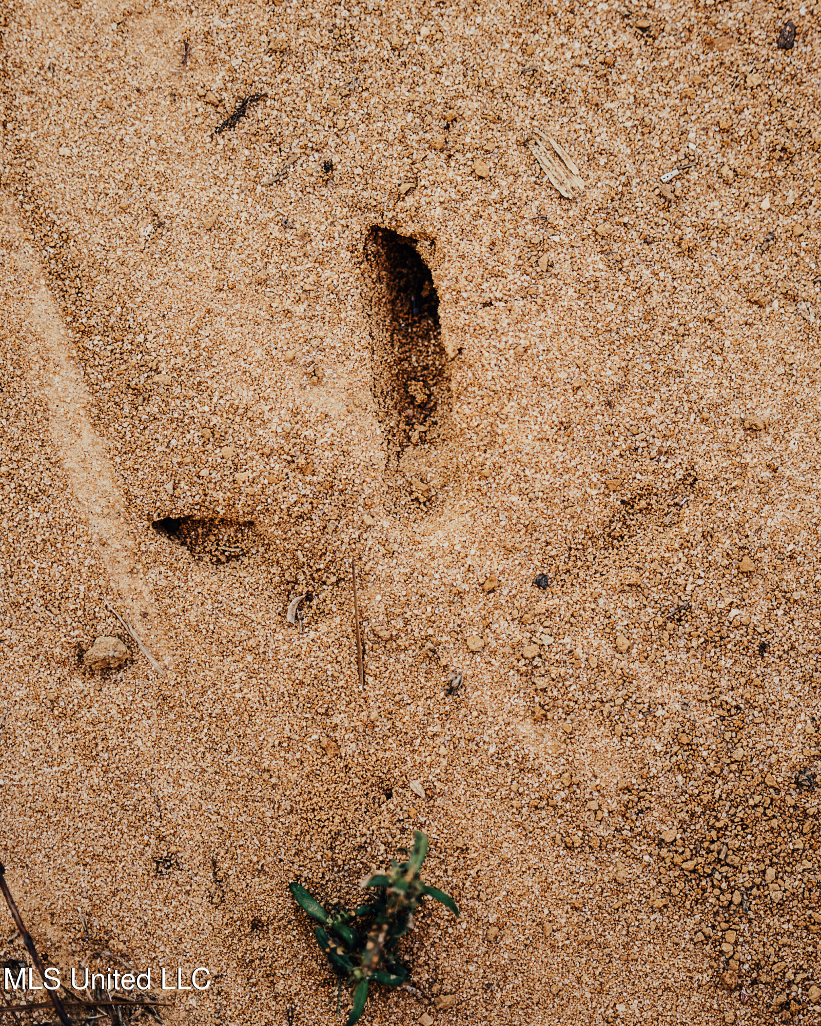 Ms- 4 Property Photo 63