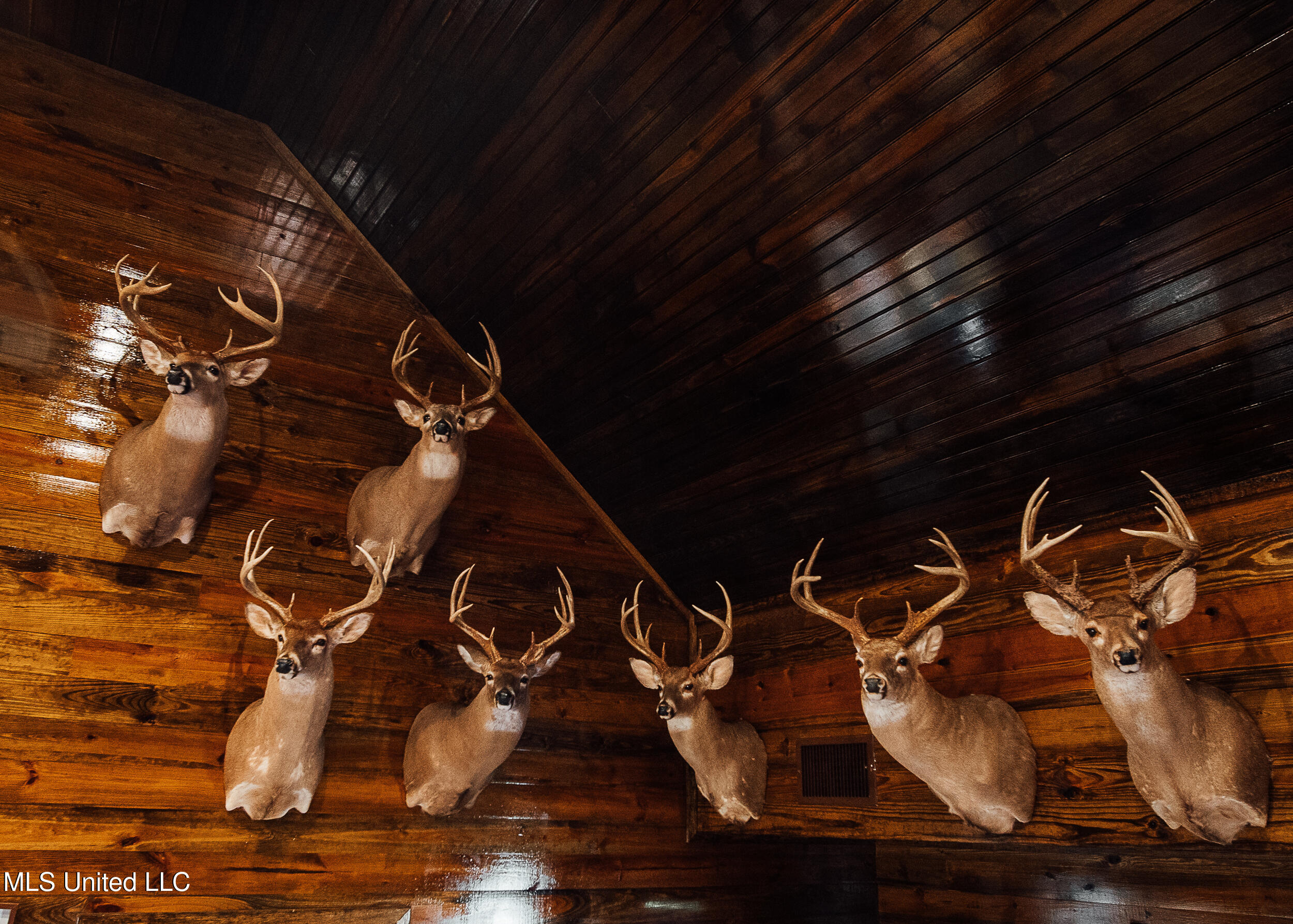 Ms- 4 Property Photo 70