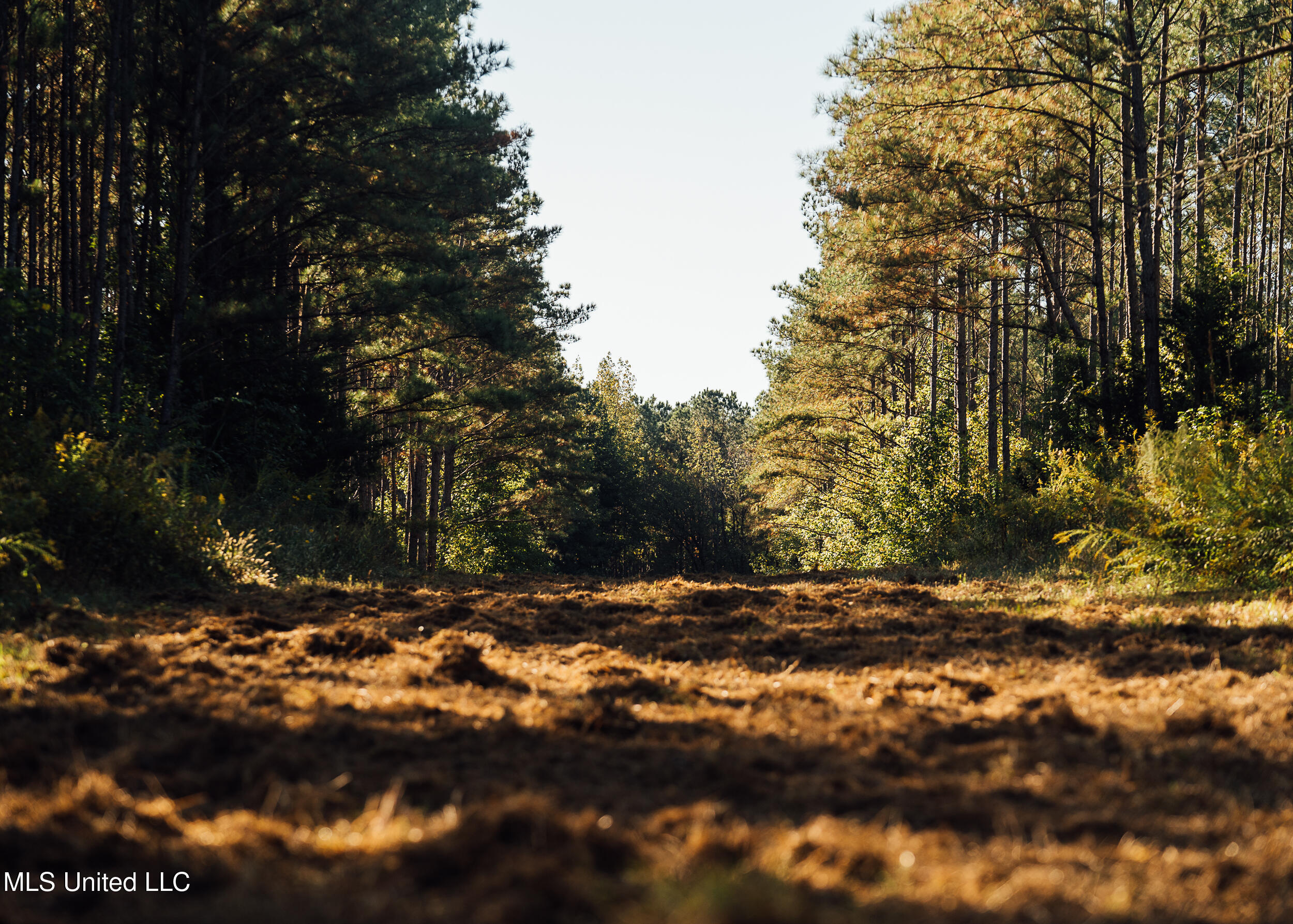 Ms- 4 Property Photo 72