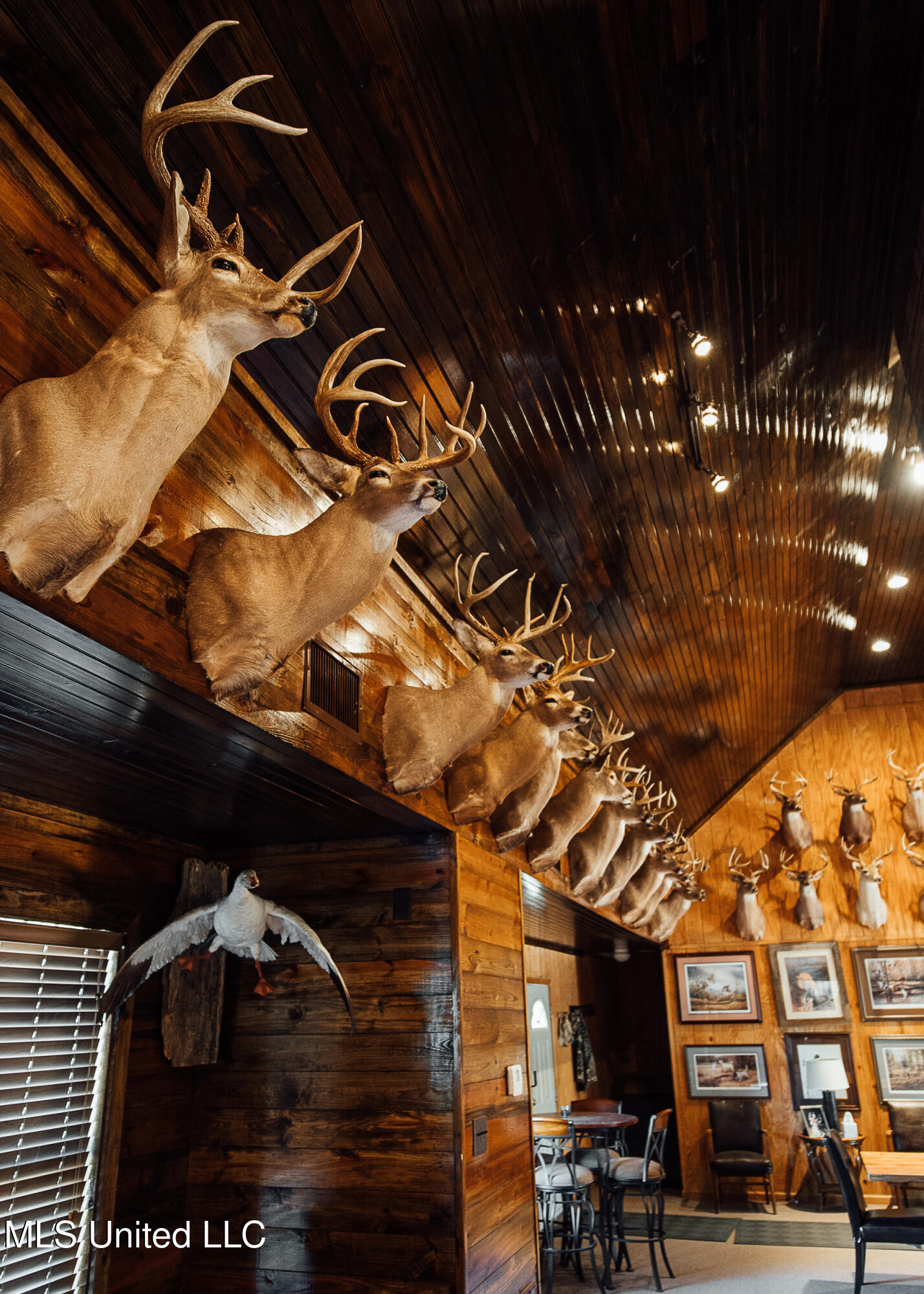 Ms- 4 Property Photo 73