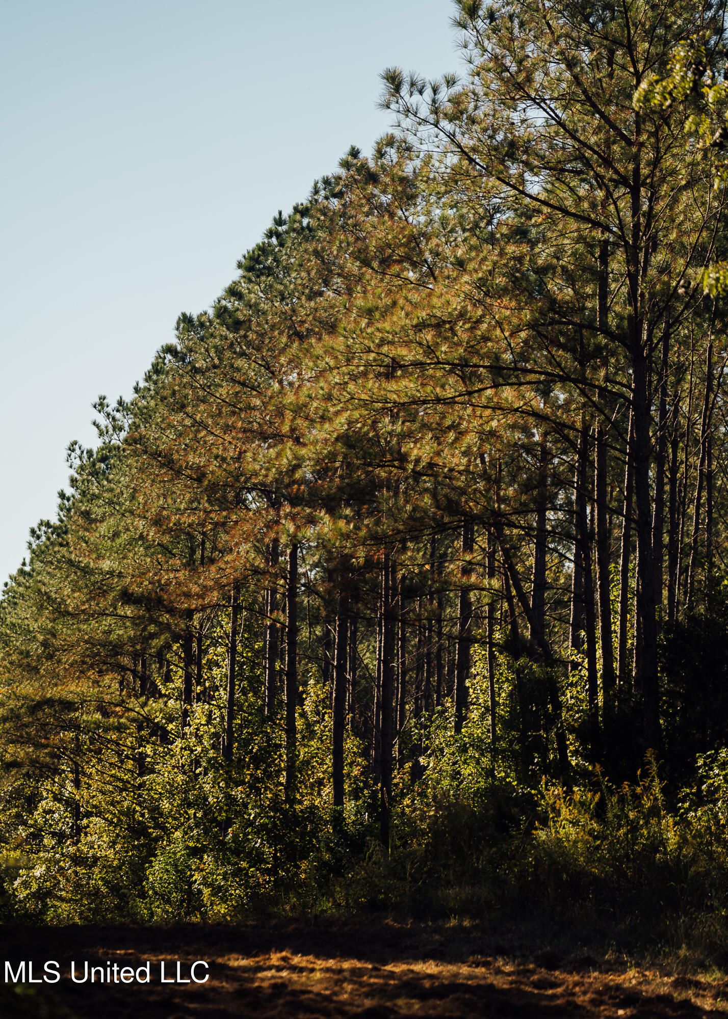 Ms- 4 Property Photo 75